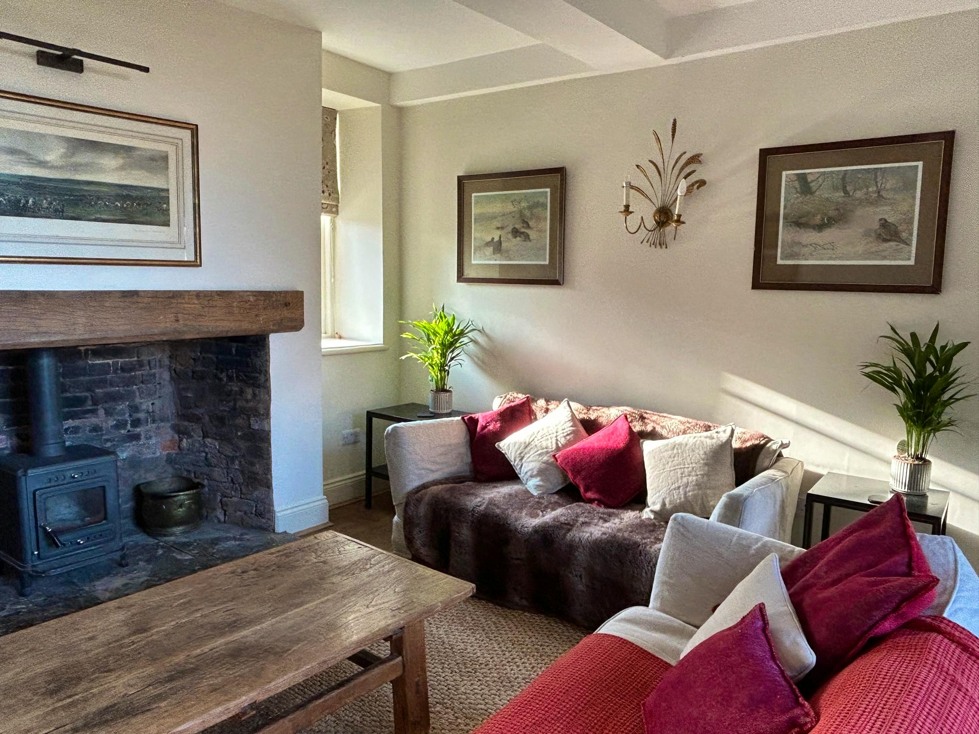 Sunshine in the winter