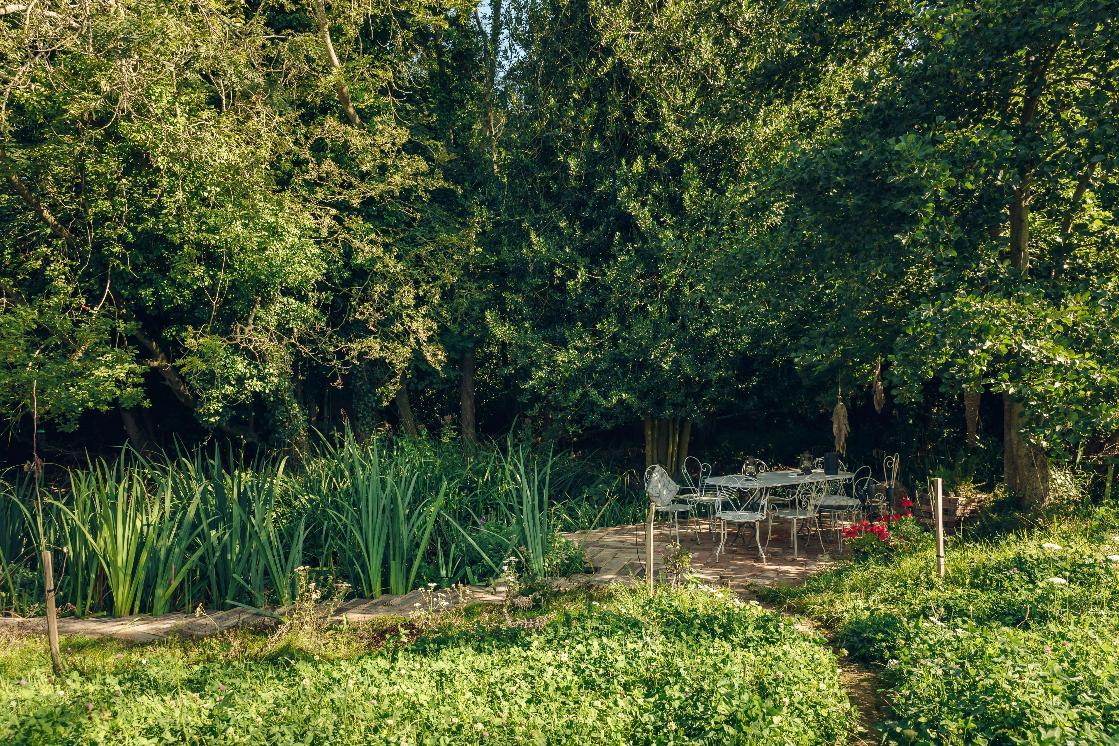 Riverbank garden terraces