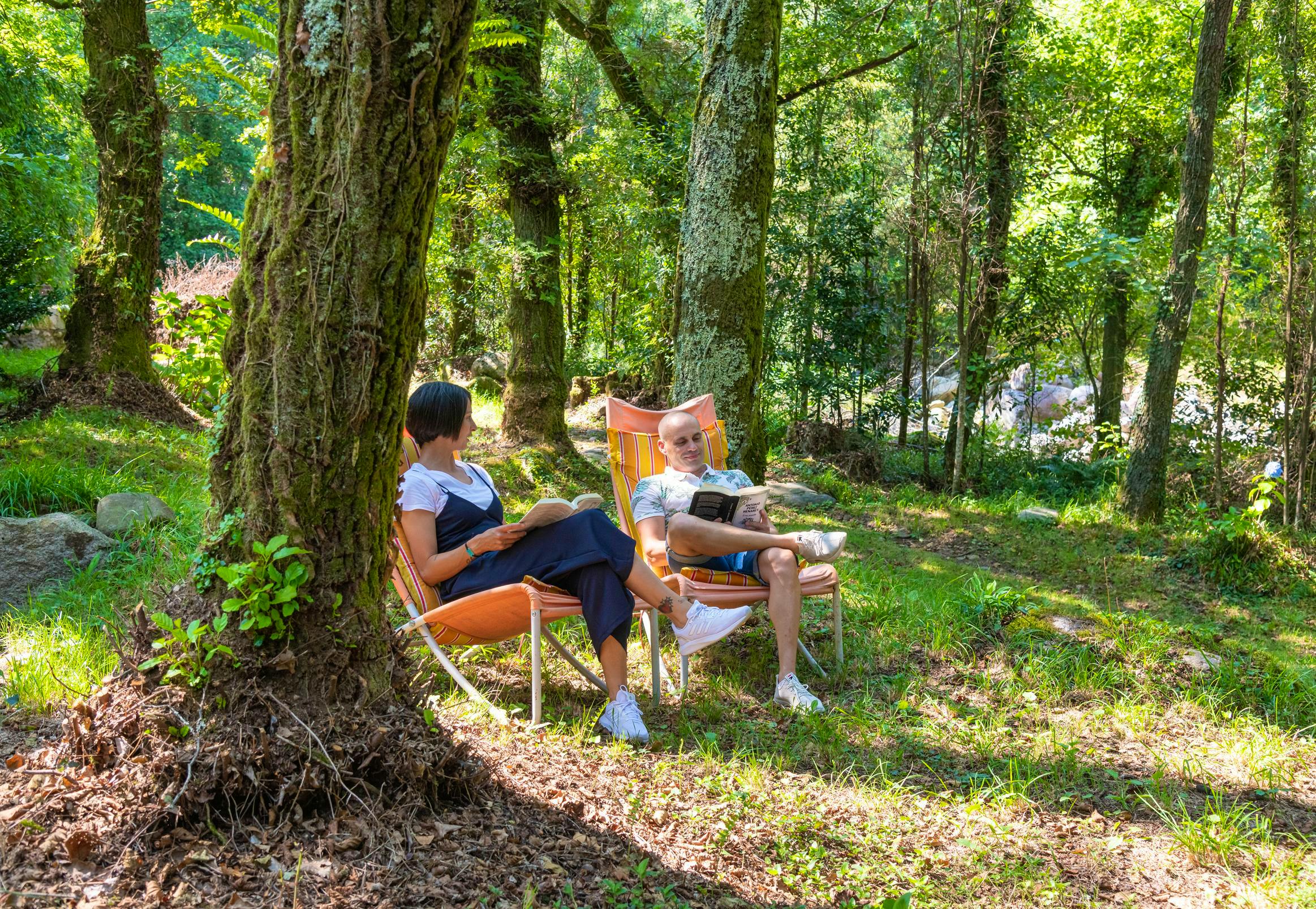 Relax in our woodland