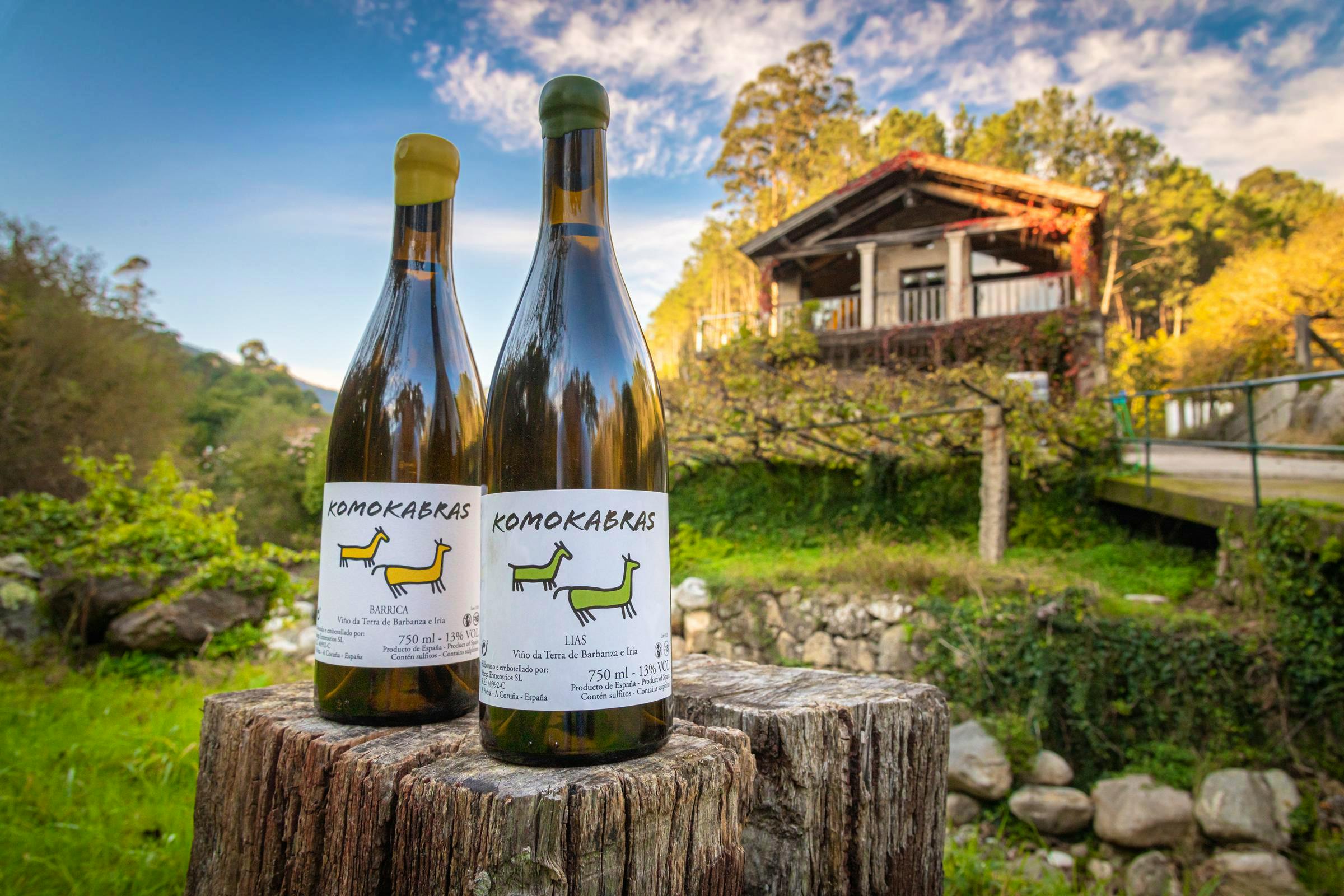 The wines of our winery