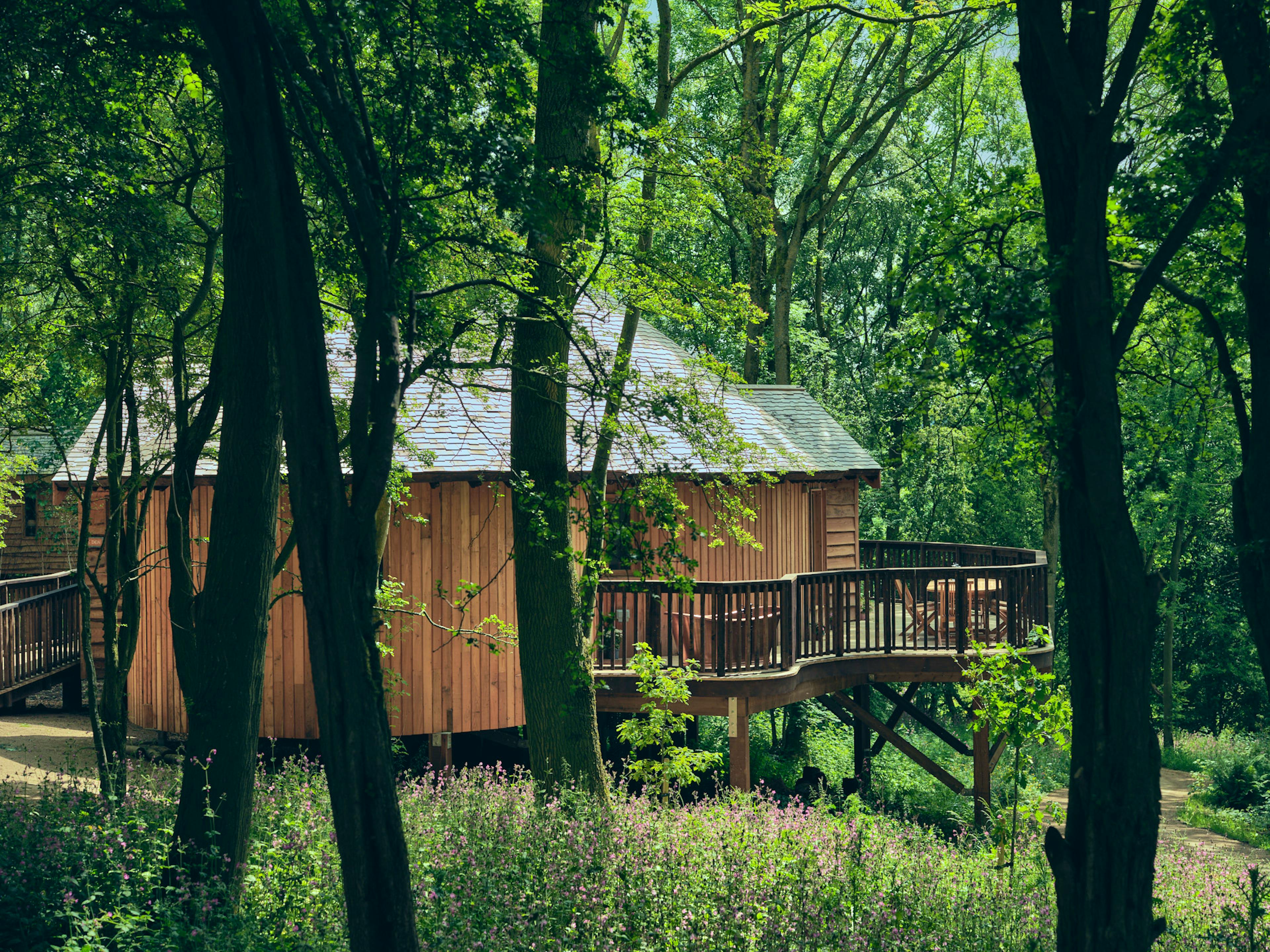 Wildhive at Callow Hall