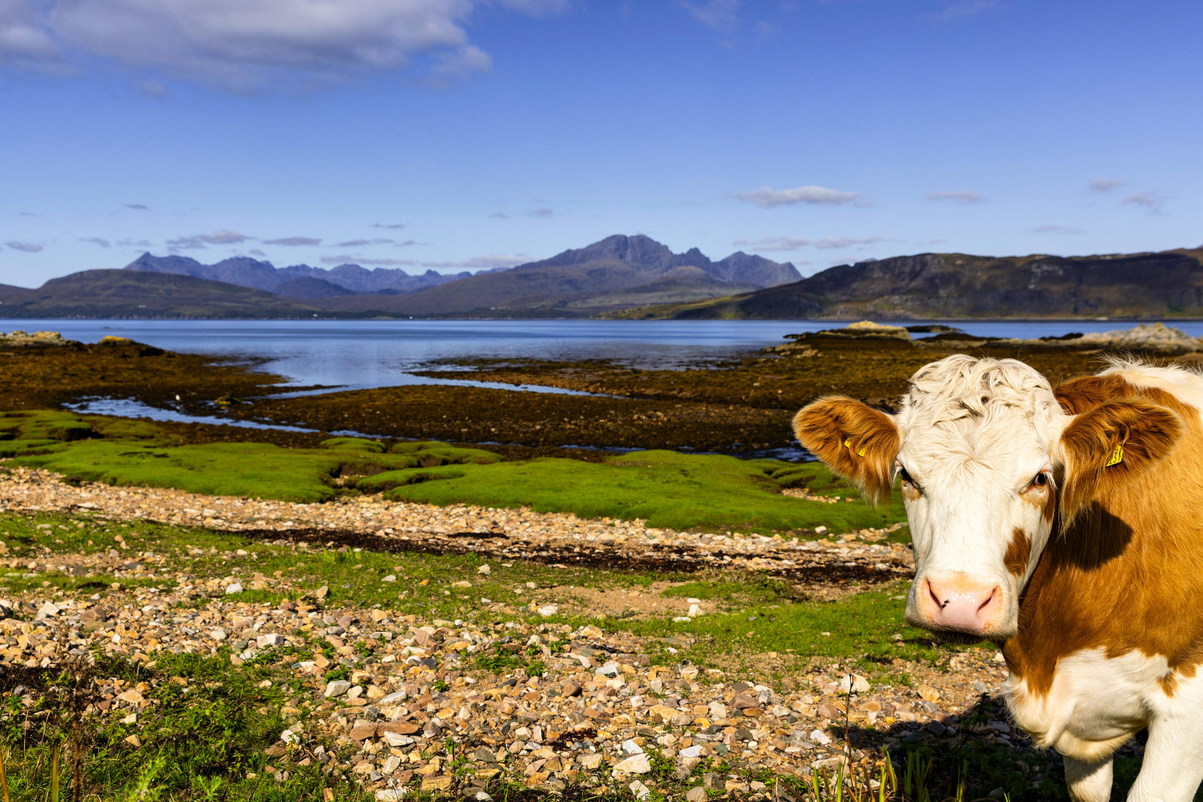 Meet the neighbours...