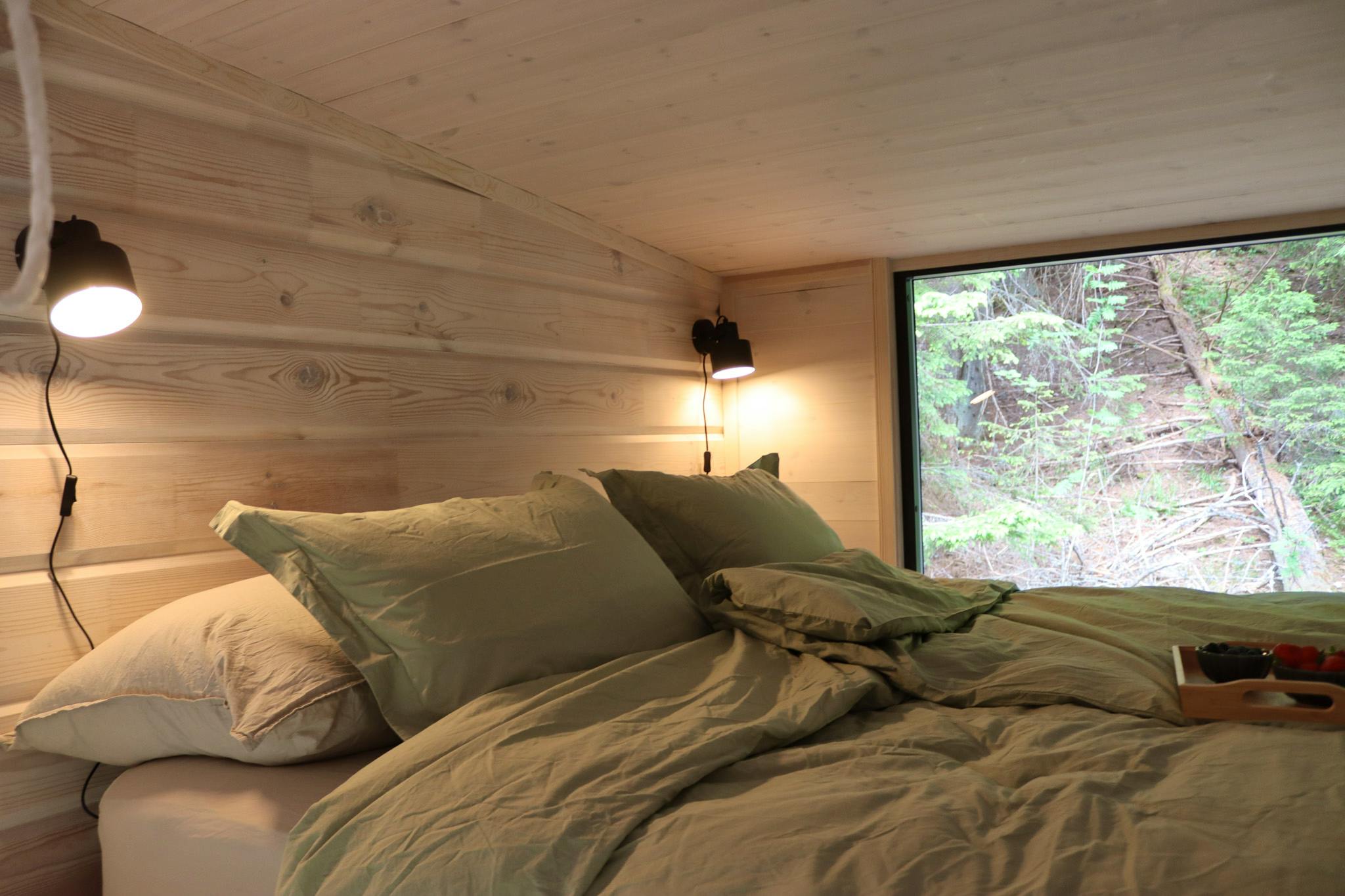 LAUV Tretopphytter - Image 5