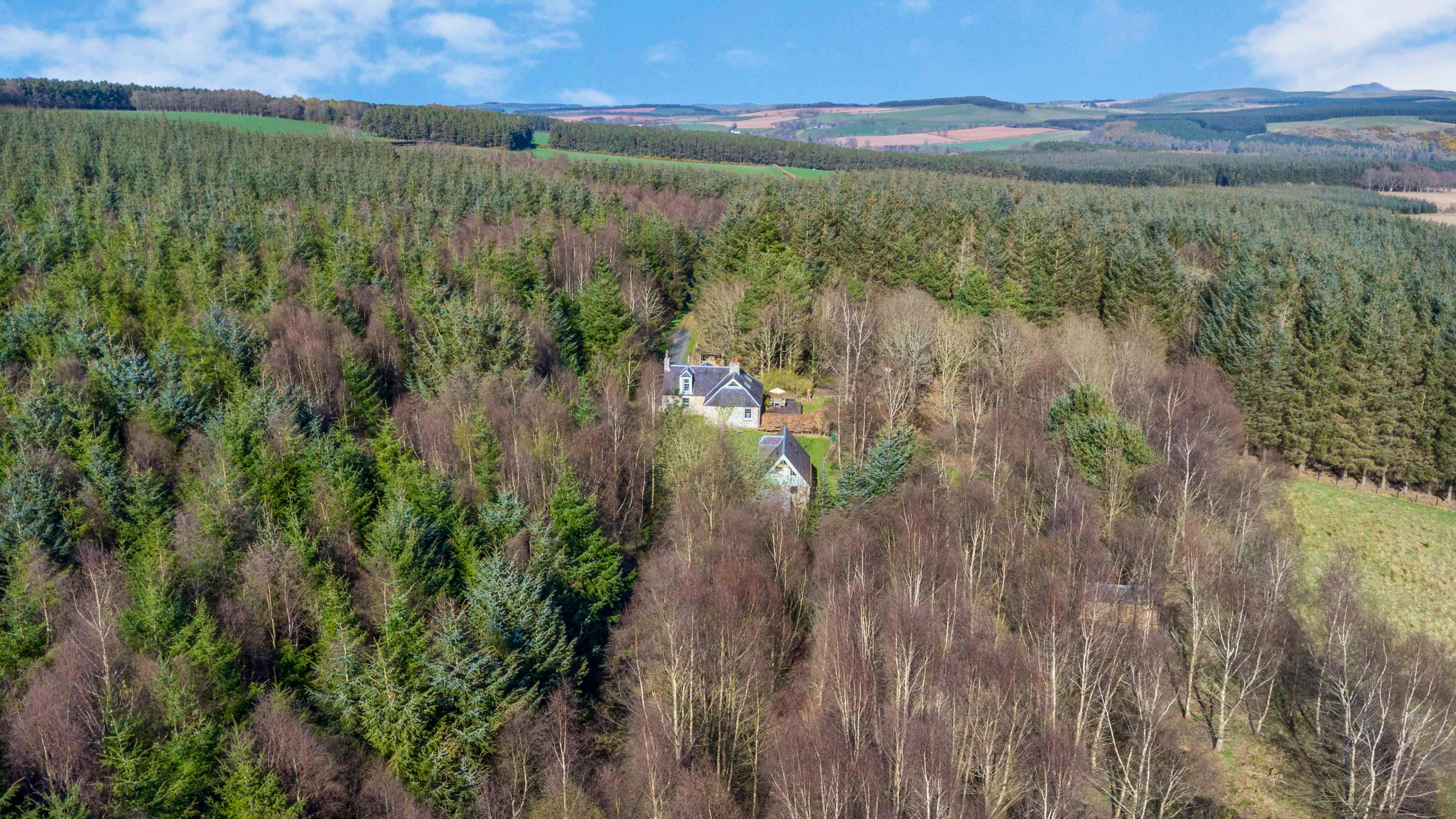 The cottage and shed from above