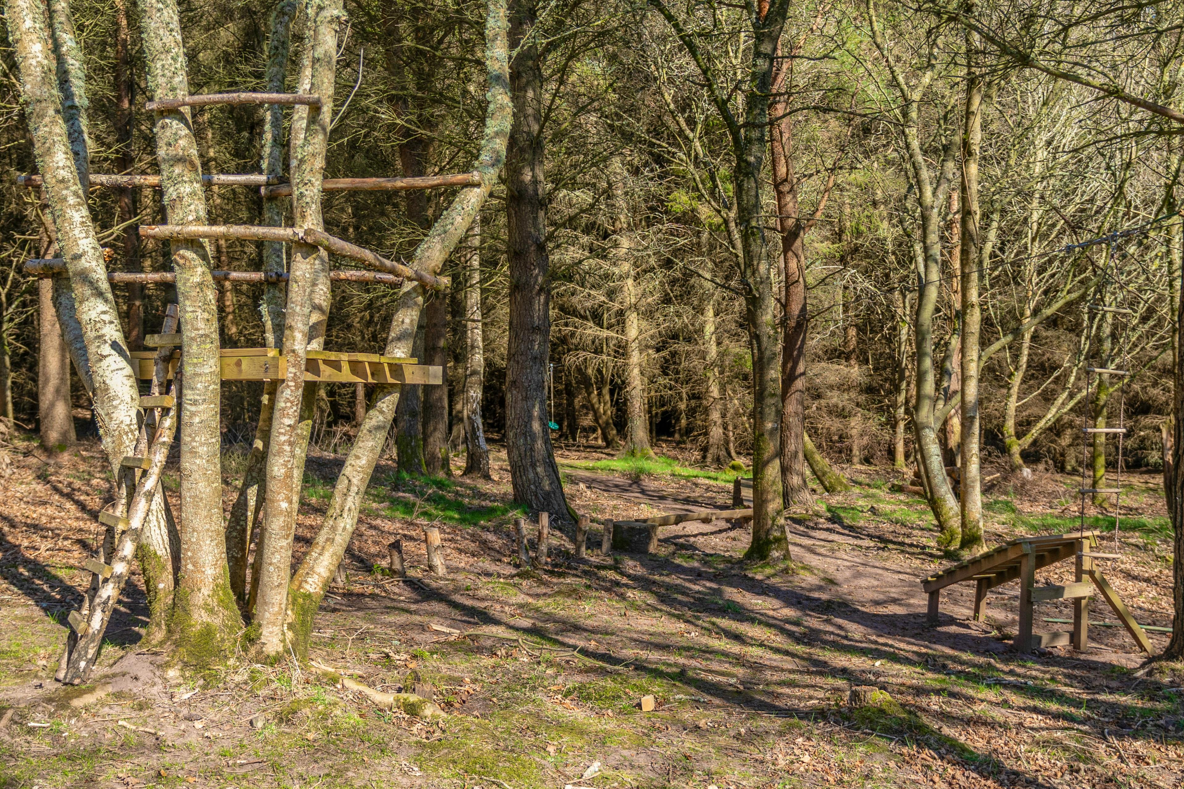 Treehouse and flying fox