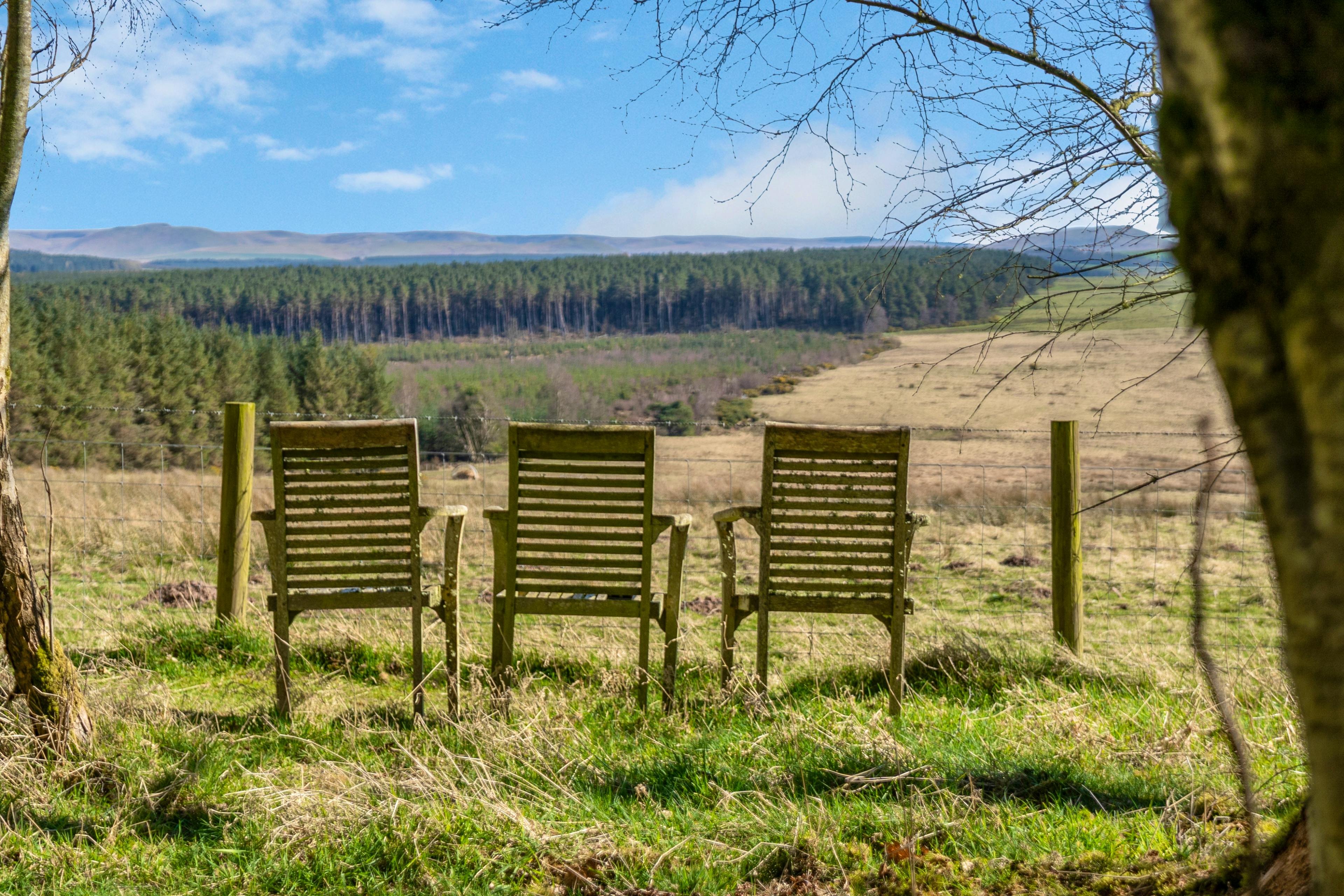 Birkenside Cottage - Image 4