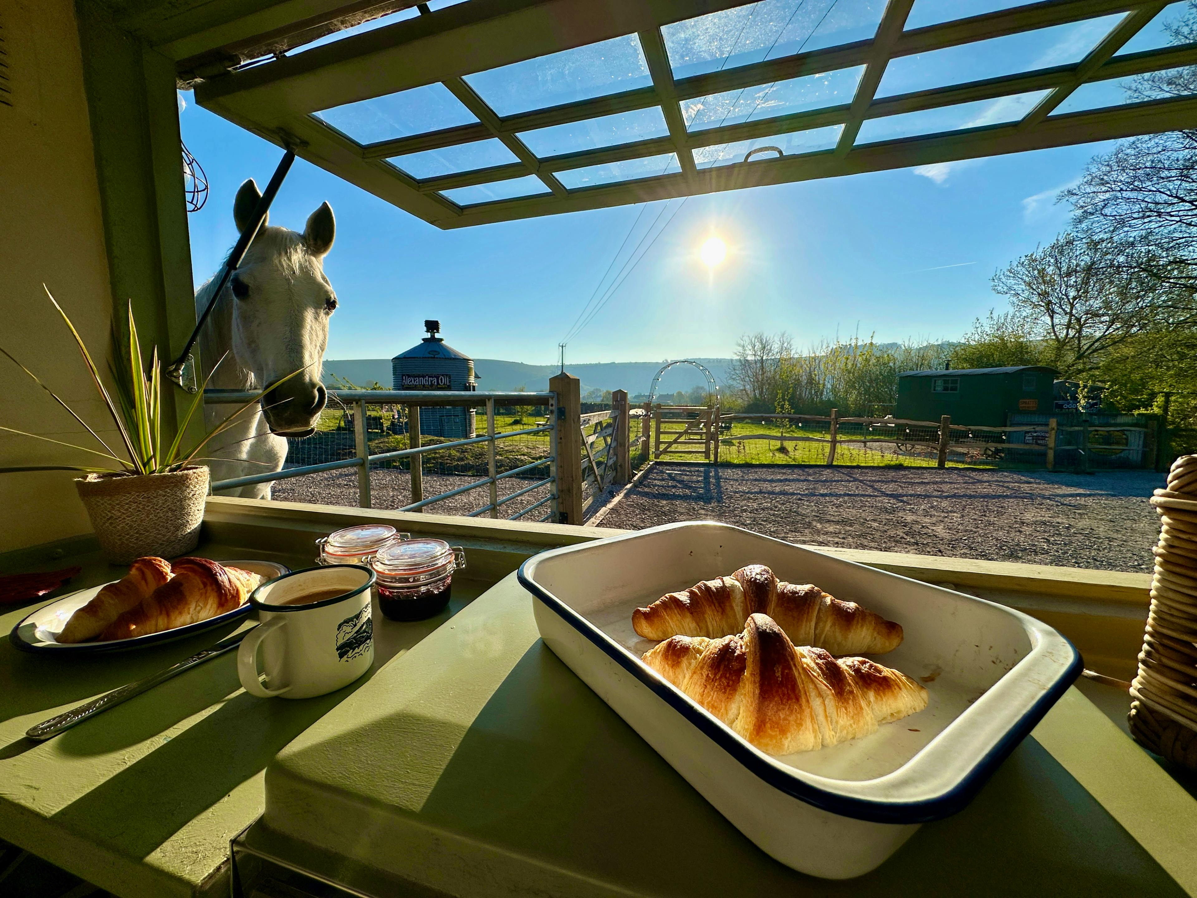 View from the kitchen