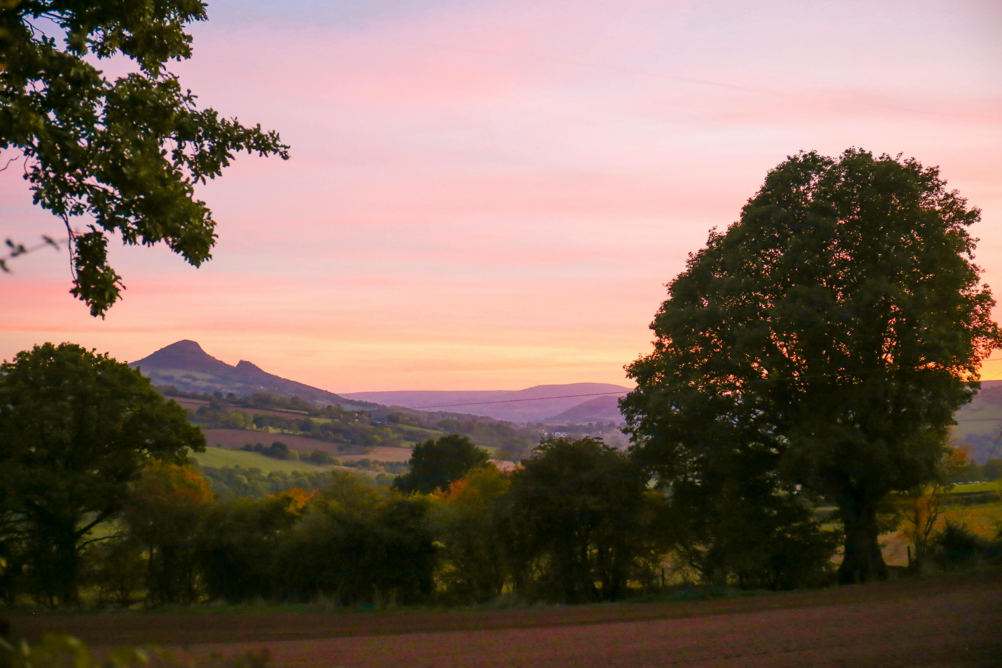 The Goytree - Landscape