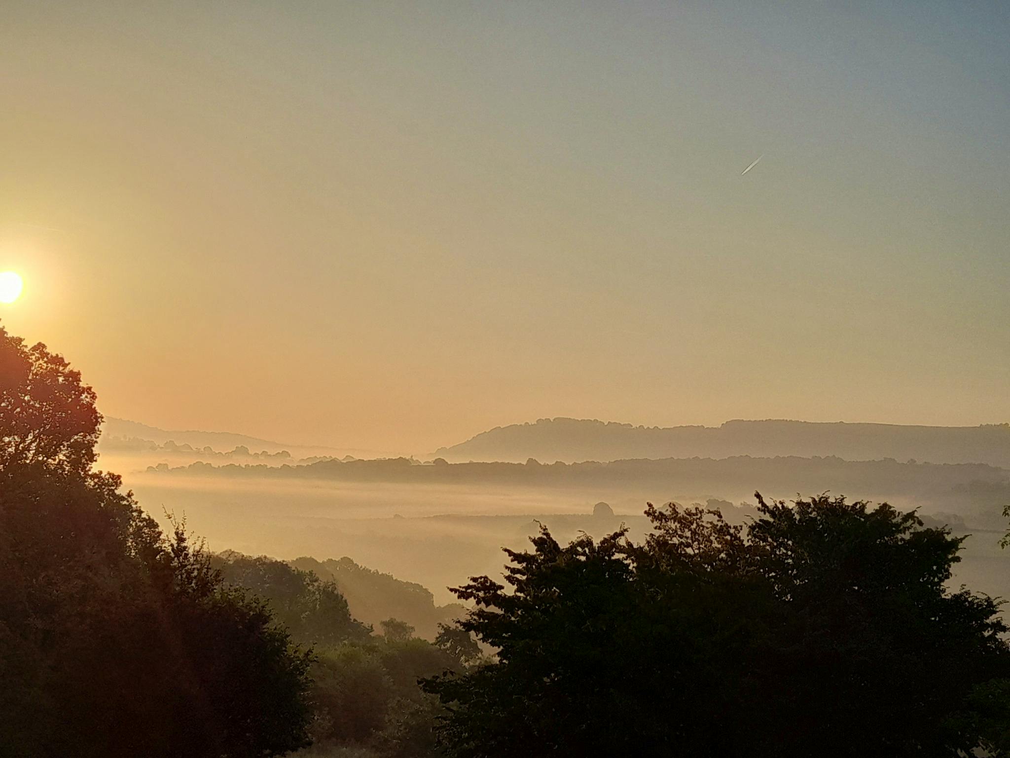 The Goytree - Landscape