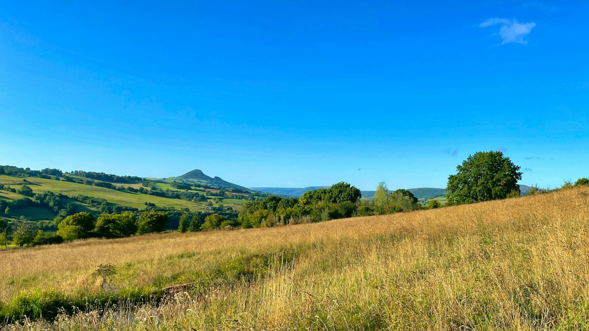 The Goytree - Landscape