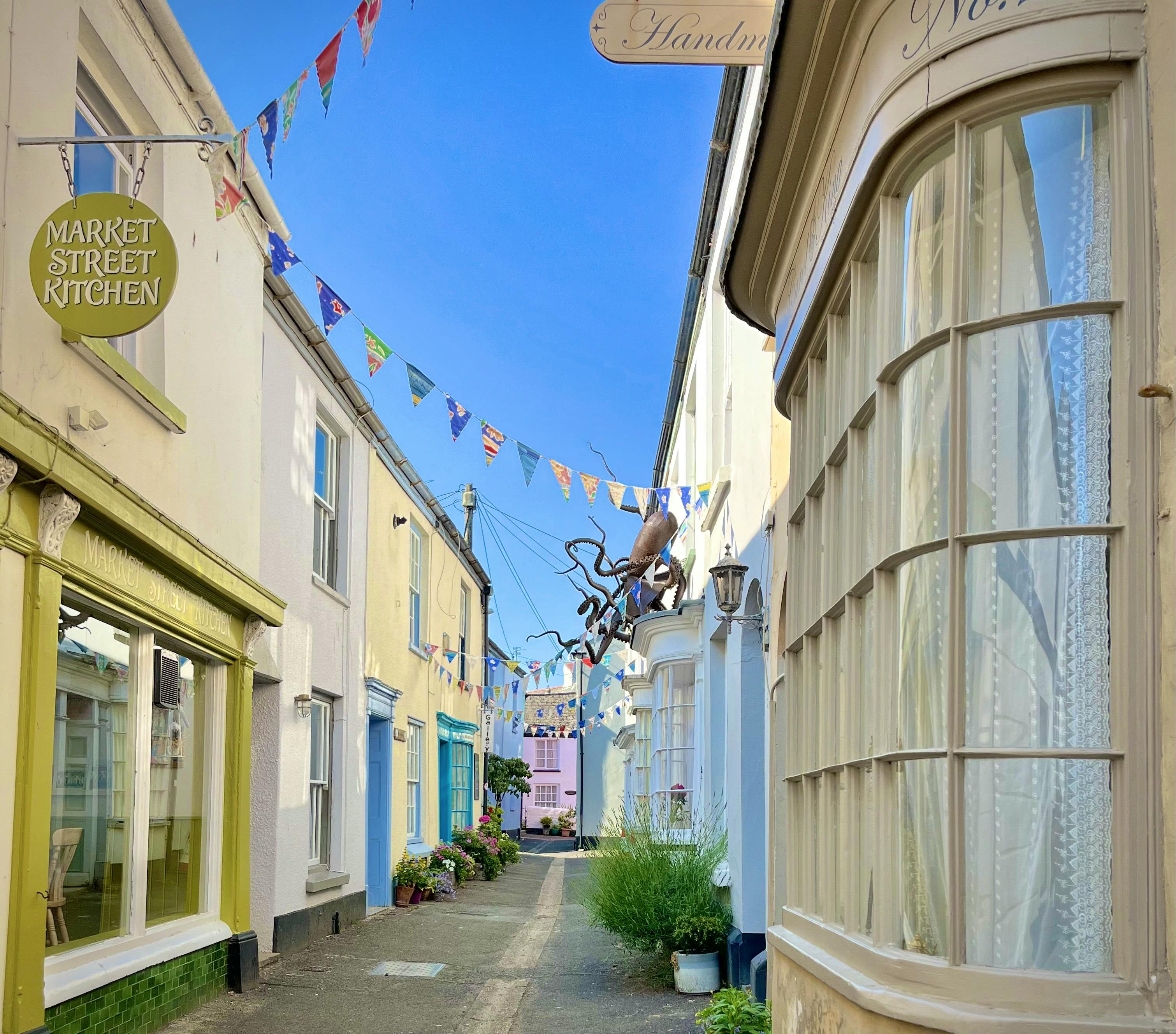 one of Appledores many pretty lanes