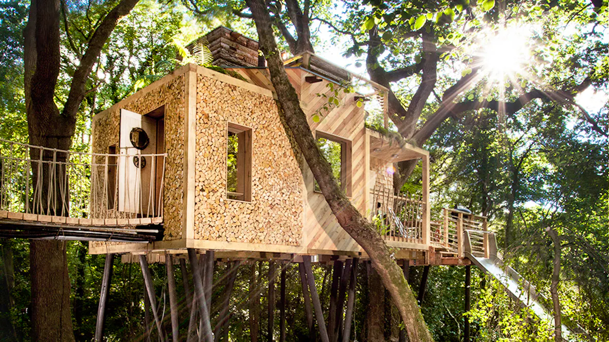 Quiky Rent The Woodman's Treehouse - an amazing quirky rental in Dorset