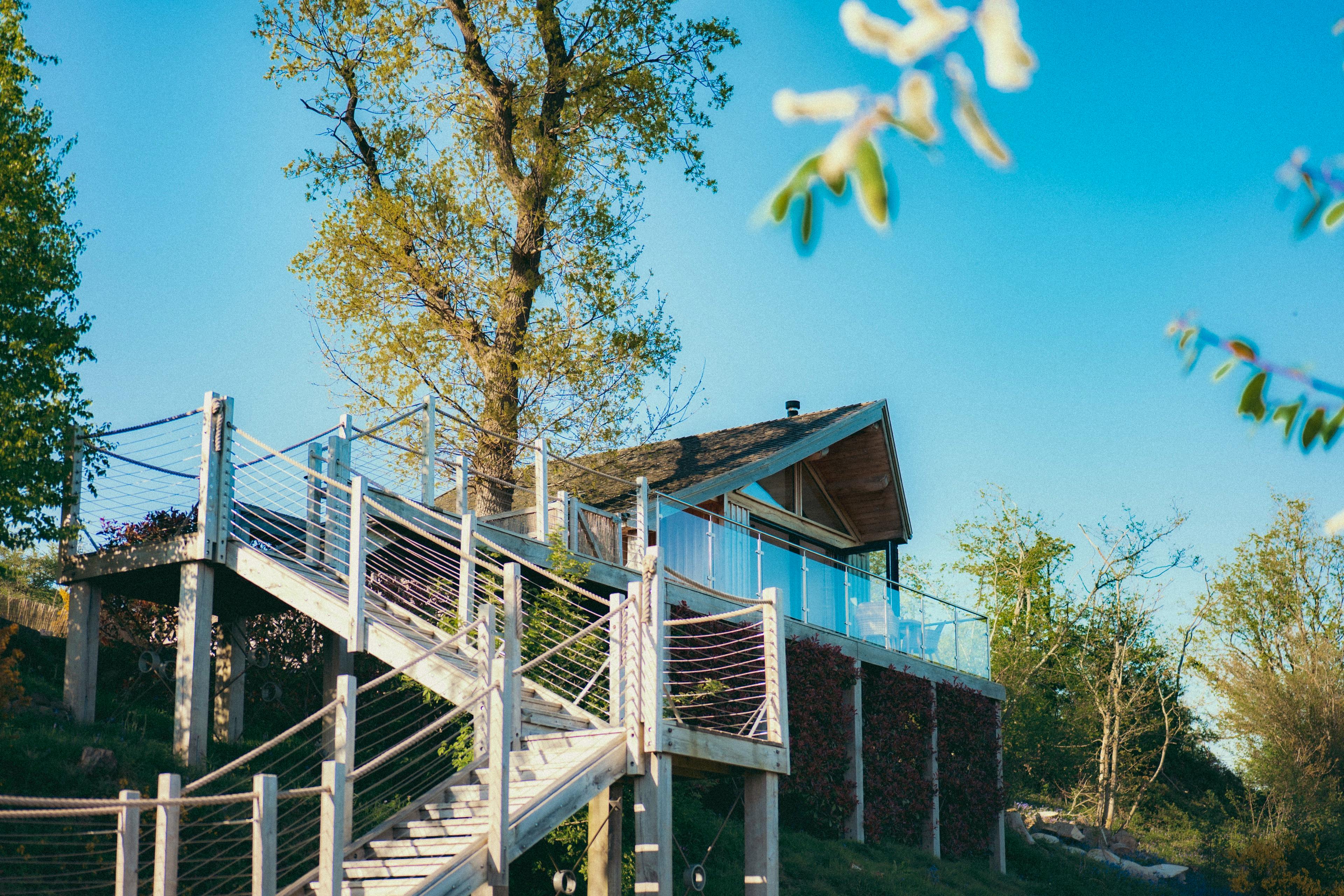 Heartwood Treehouse - Image 4