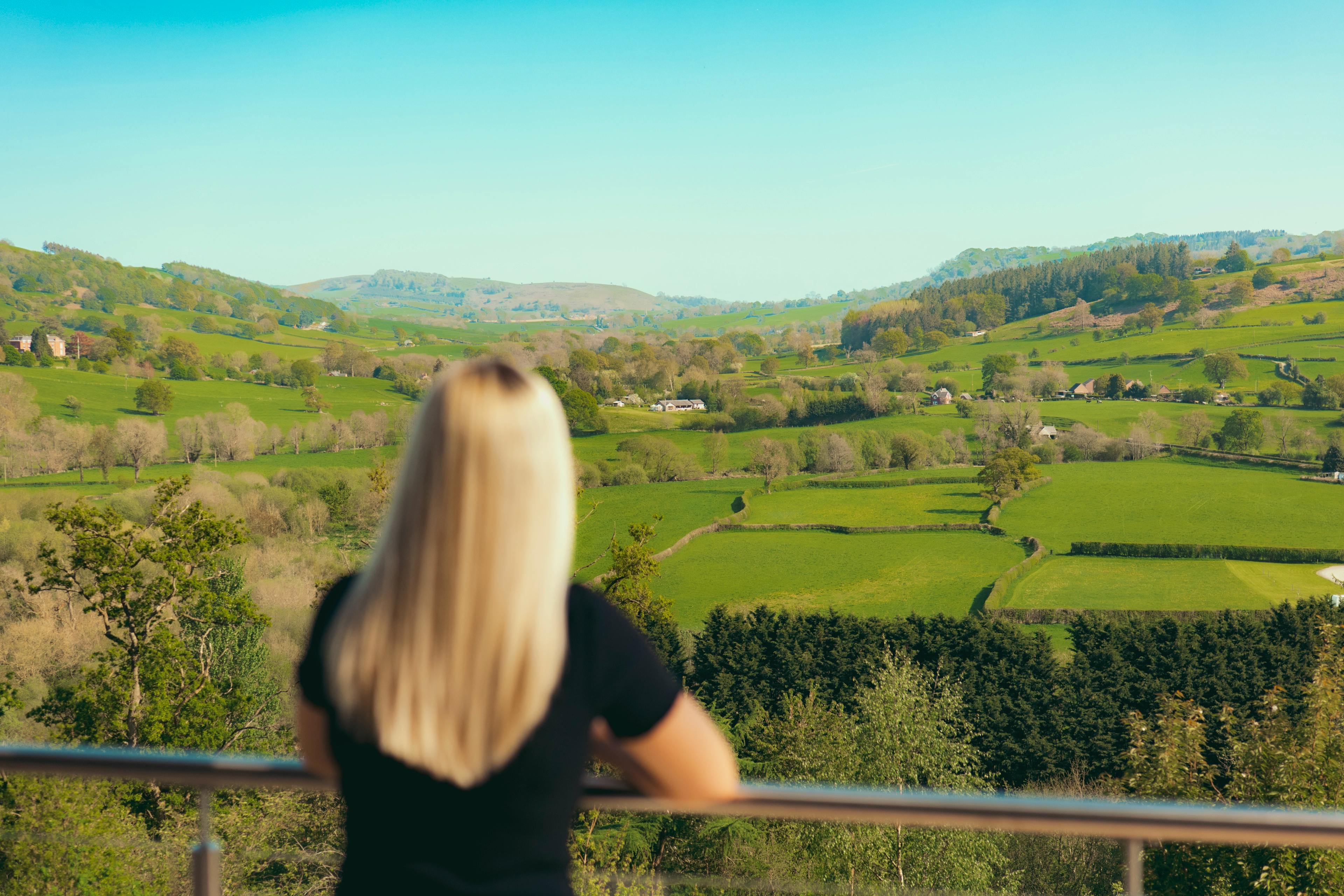 Heartwood Treehouse - Image 6
