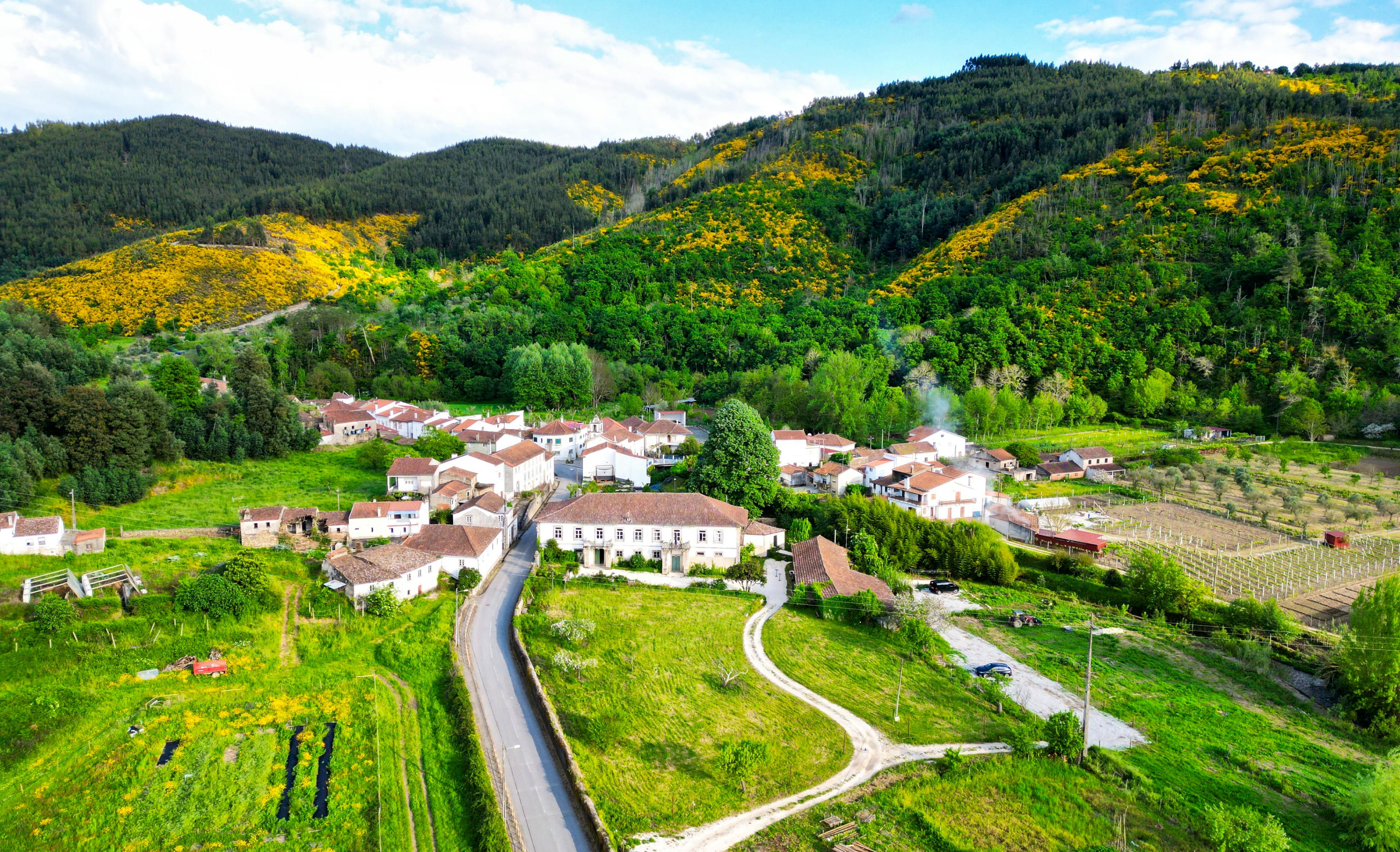 Terra Verde - Image 1