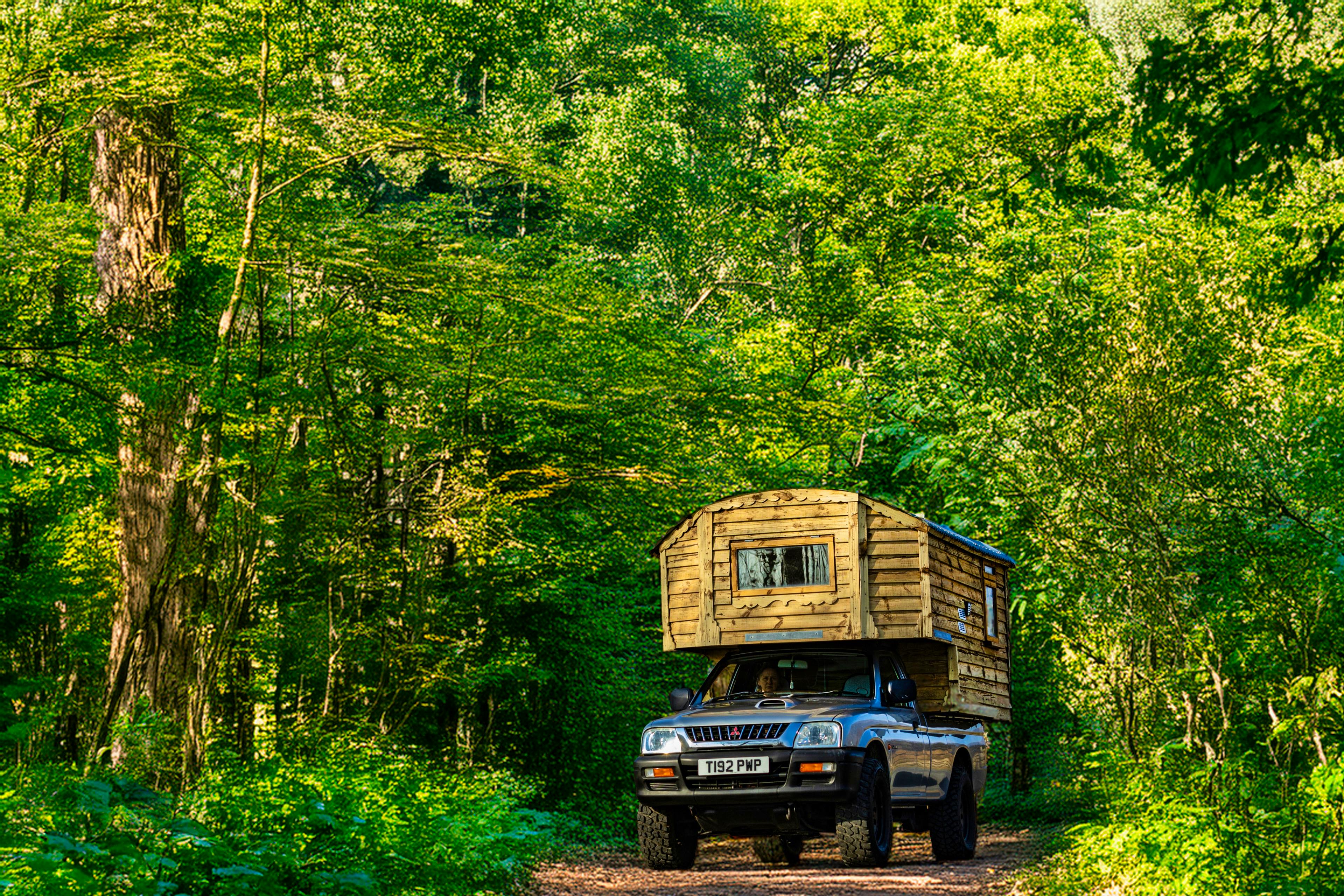 Cabin adventures in the forest