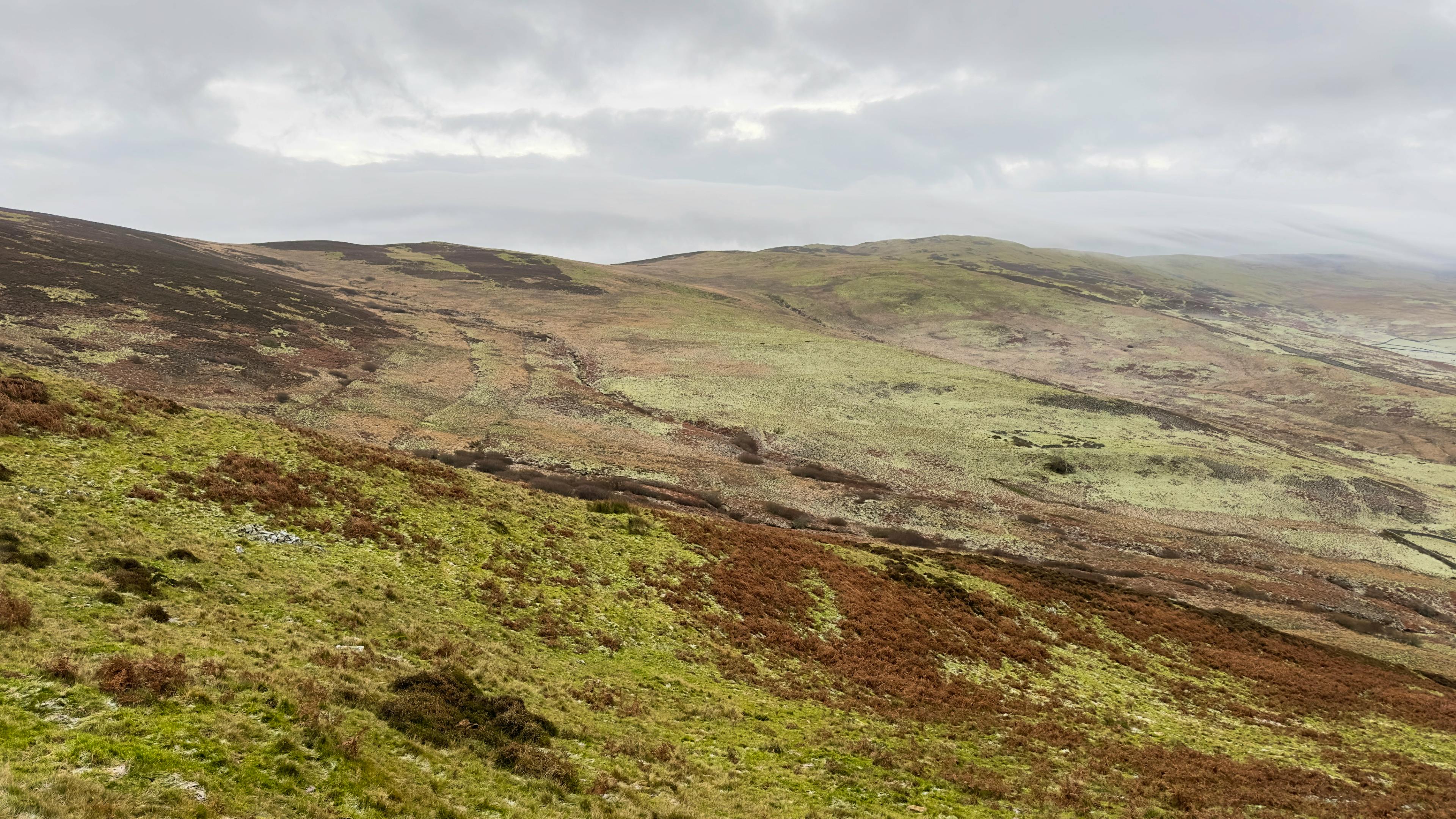 The Scullery - Image 6