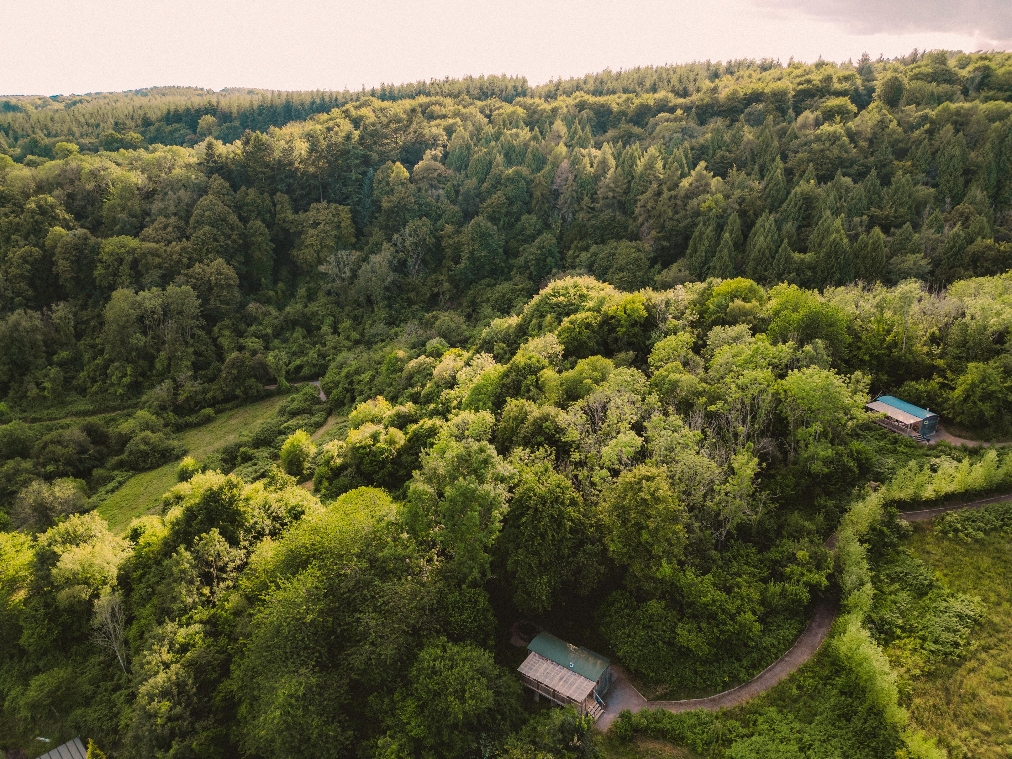Private Cabins Nestled in Woodland