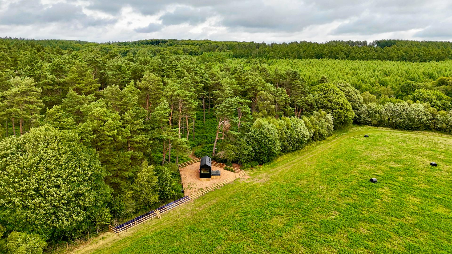 Mizar - Nestled In Natural Woodland