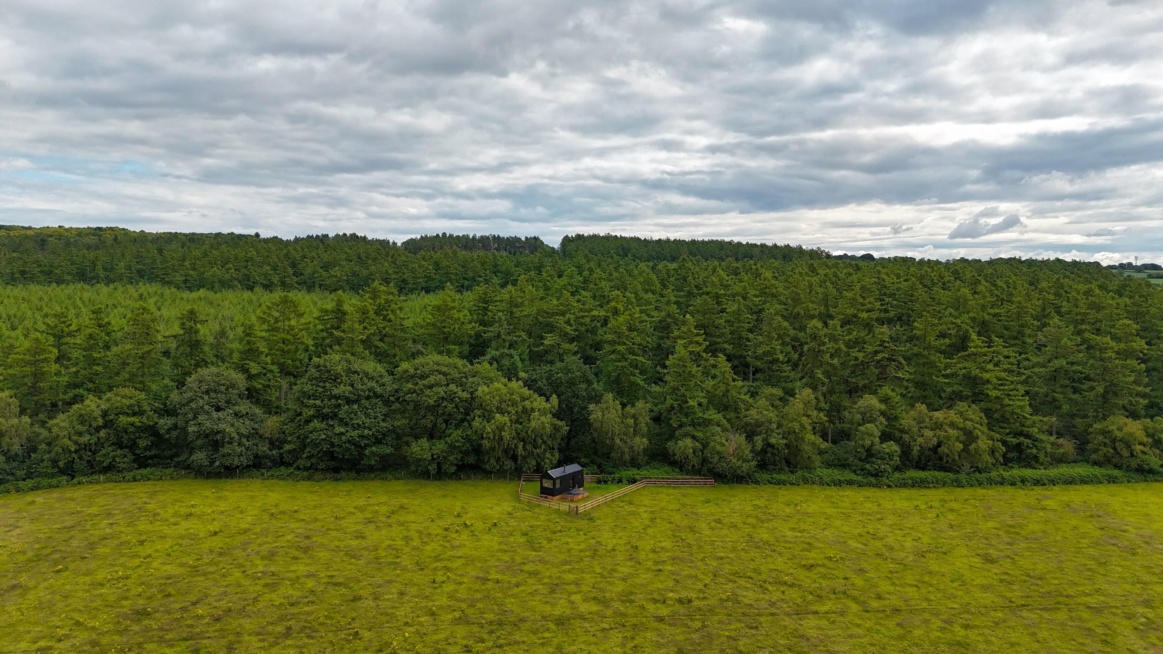 Alcor - Endless Natural Woodland