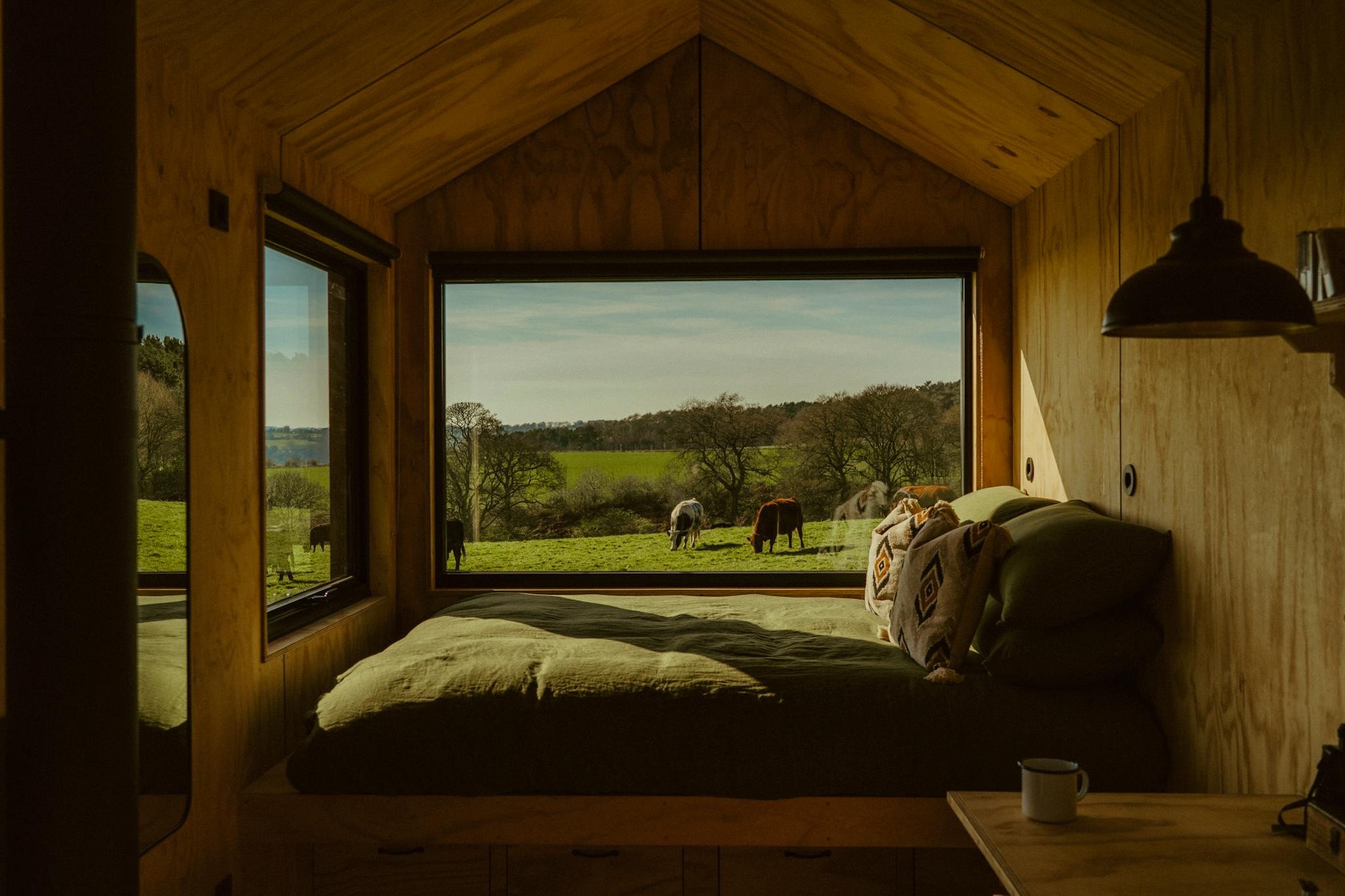 Alcor - Interior & Dual Aspect View