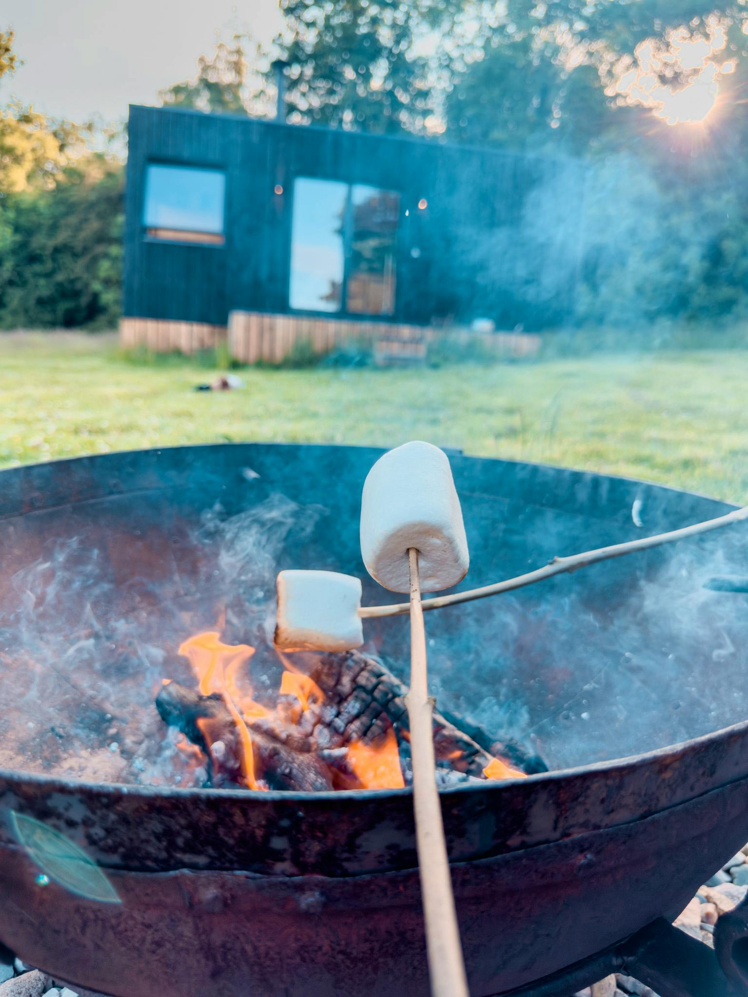 Toast Marshmallows & Cook Food