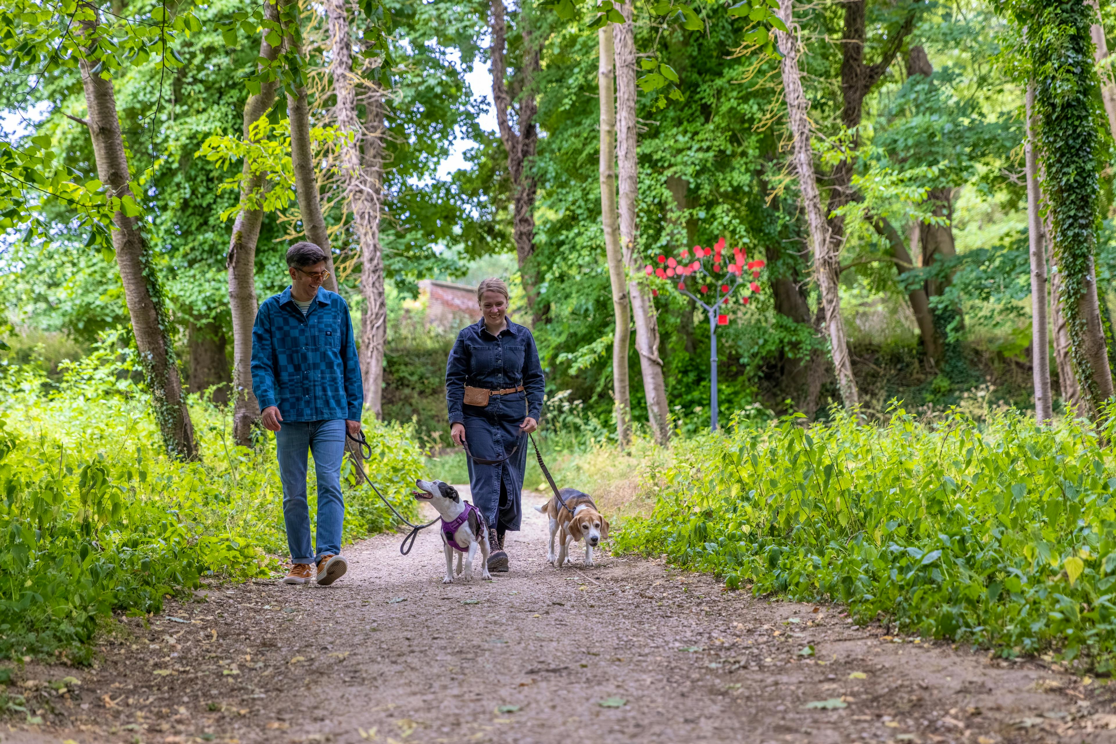 Walking routes on the doorstep 