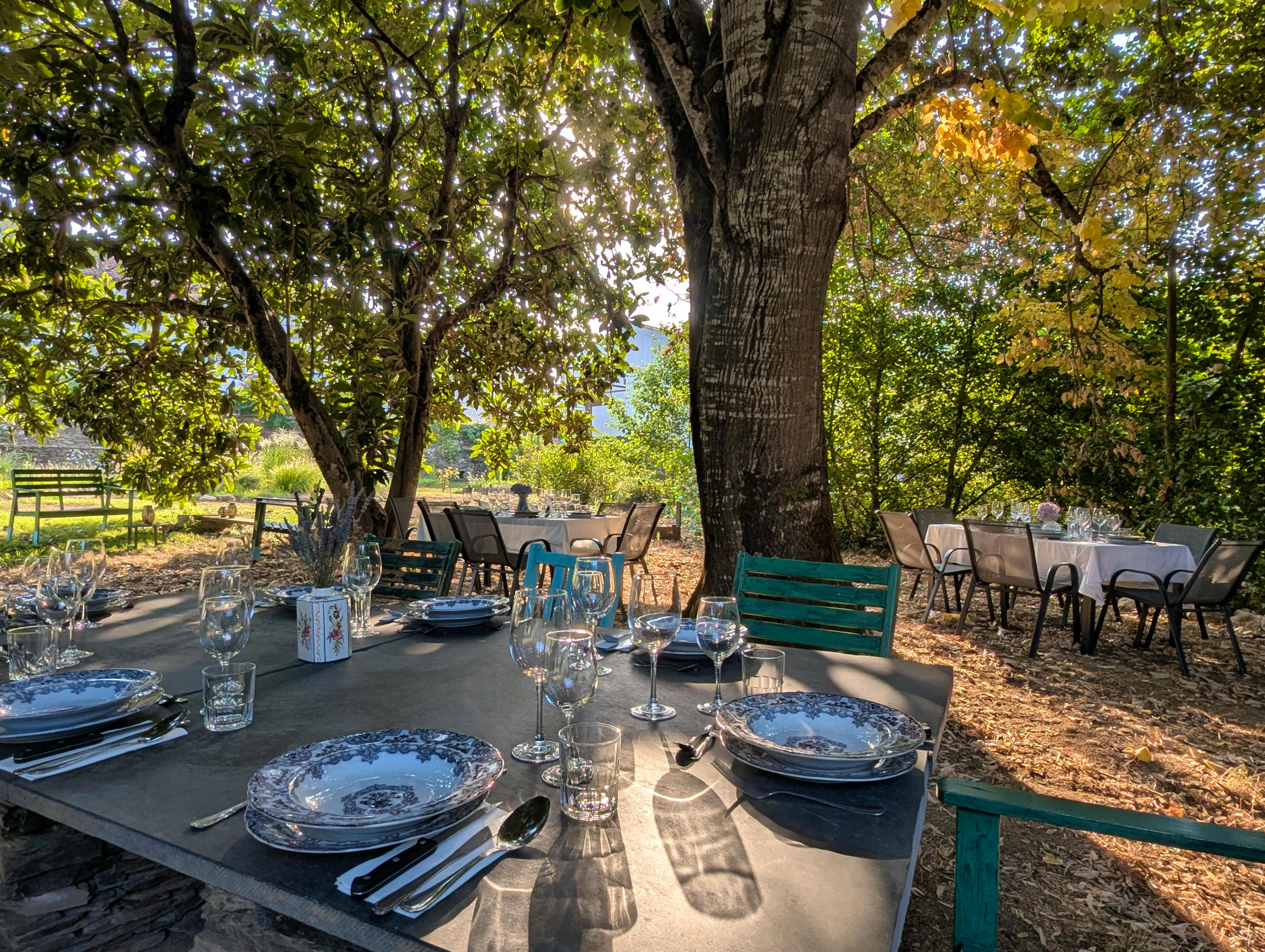 Terra Verde - Image 7