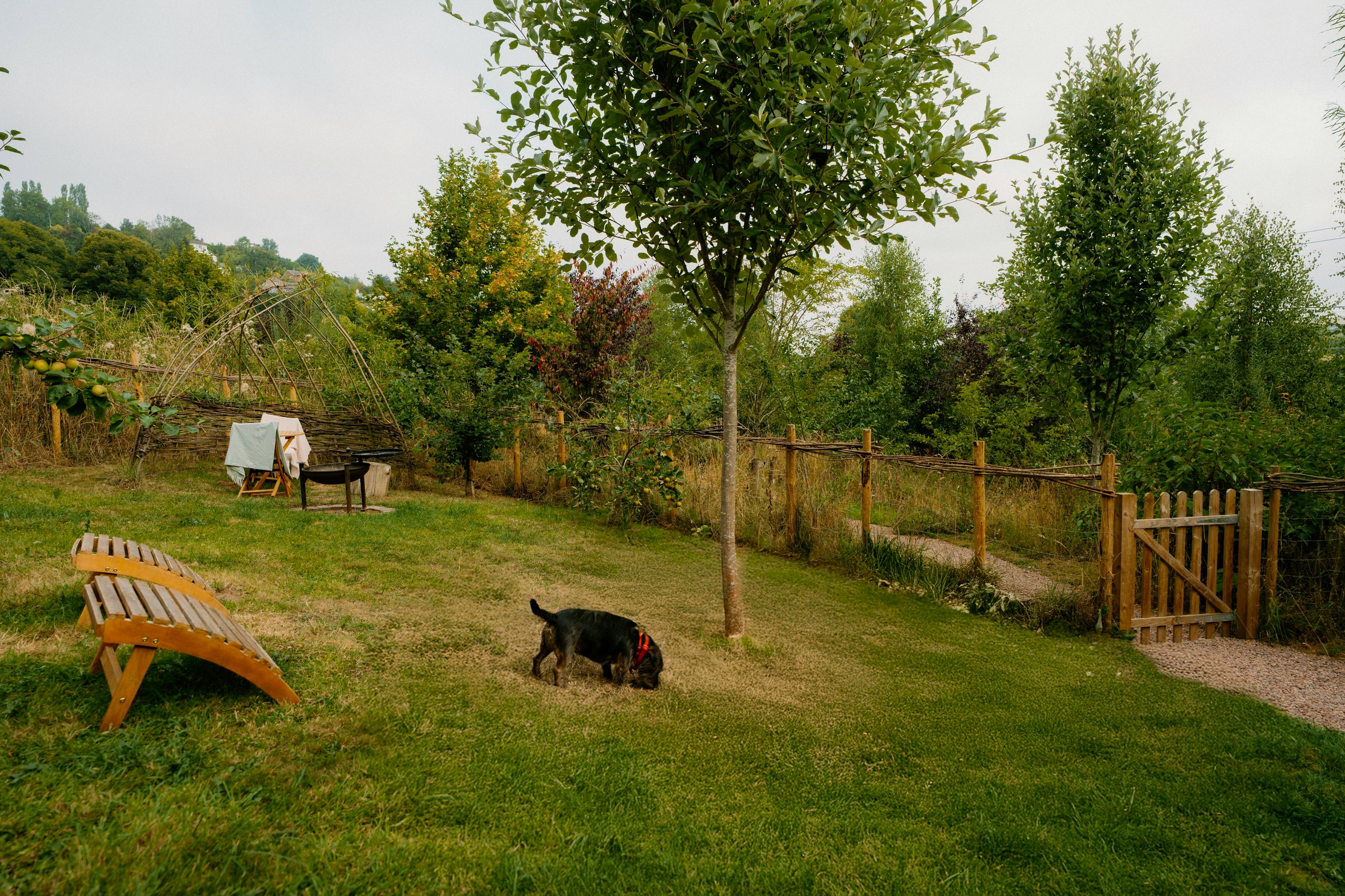Nook - Private, dog secure garden