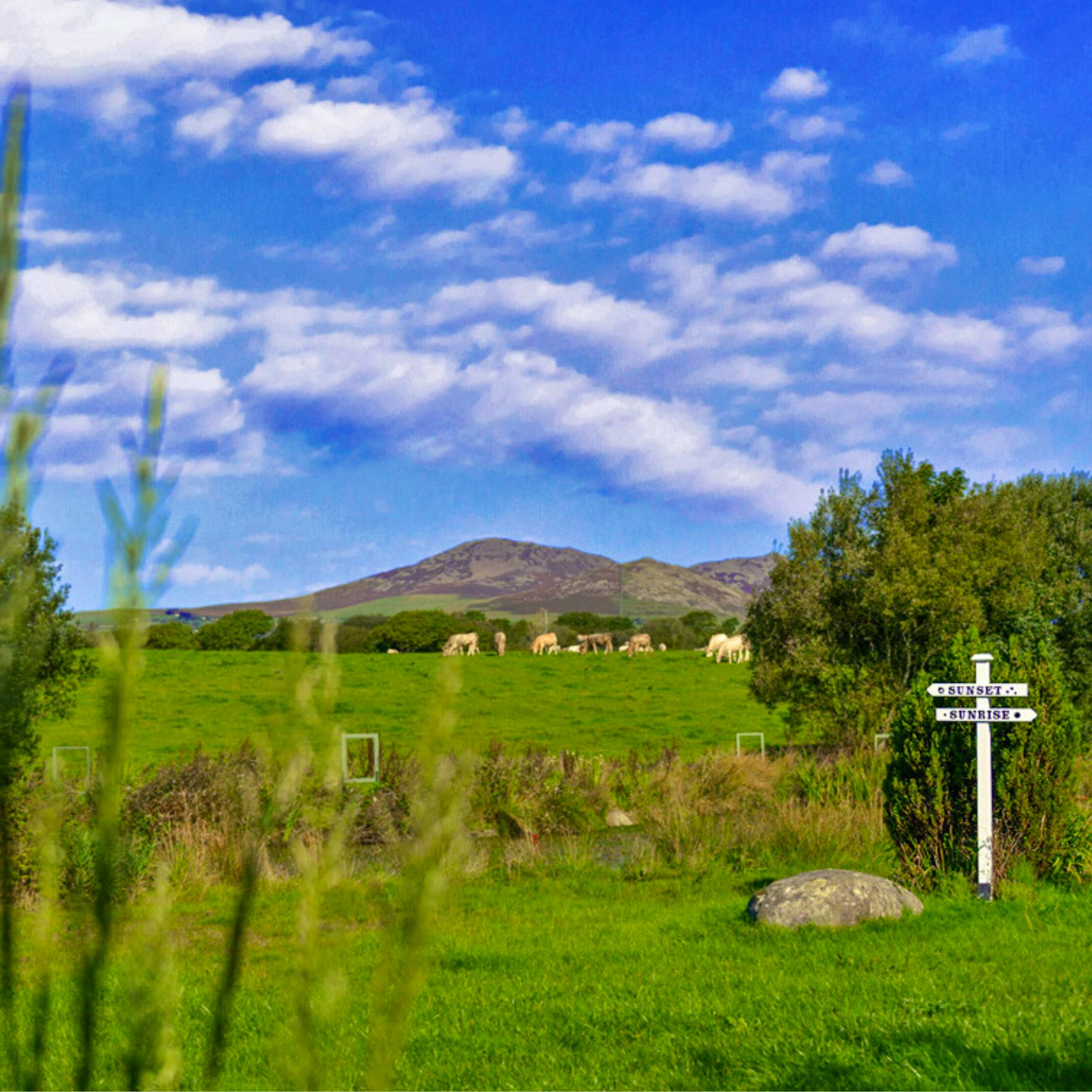 Yr Eifl mountain views