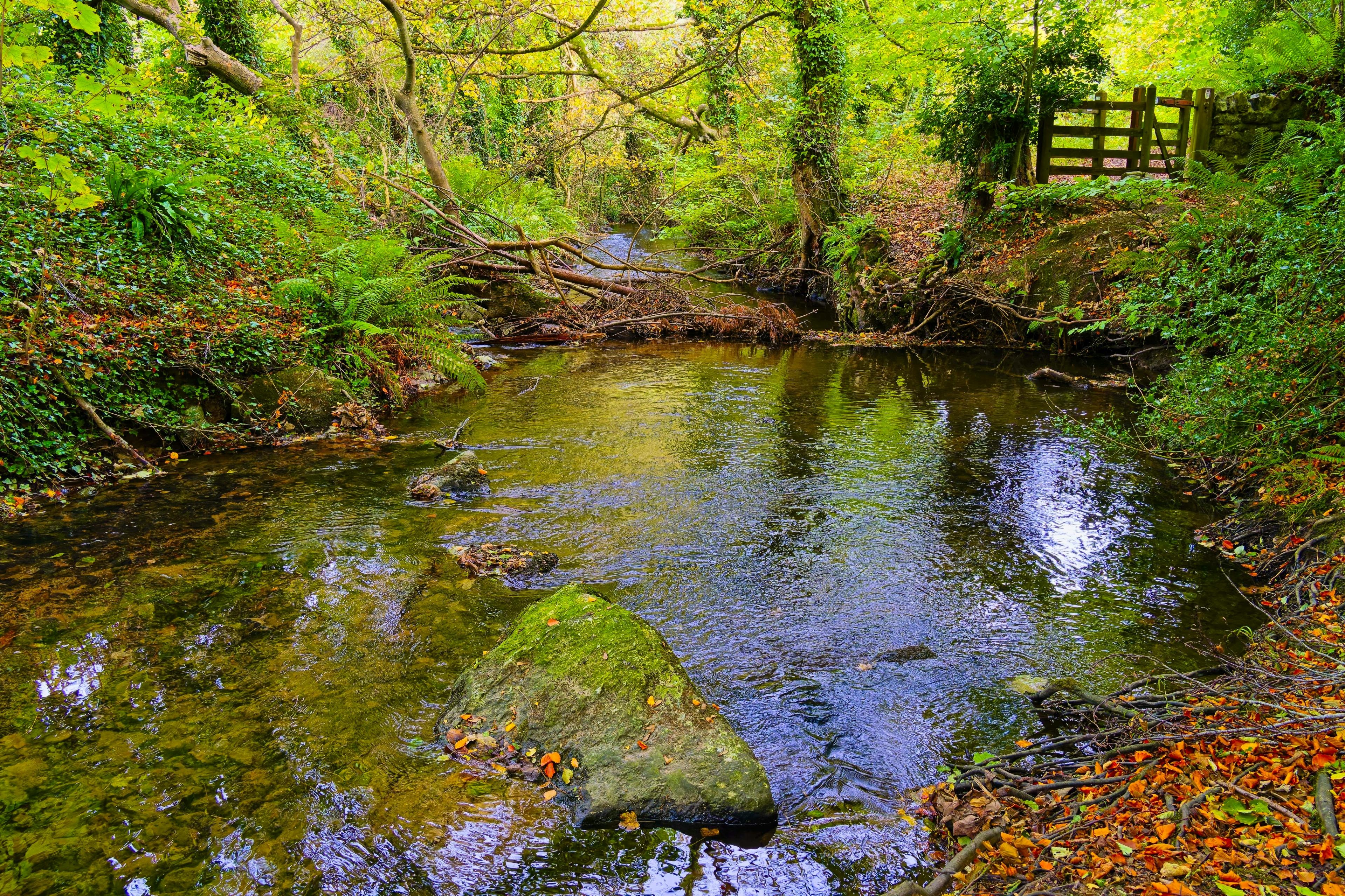 Nearby woodland walks 