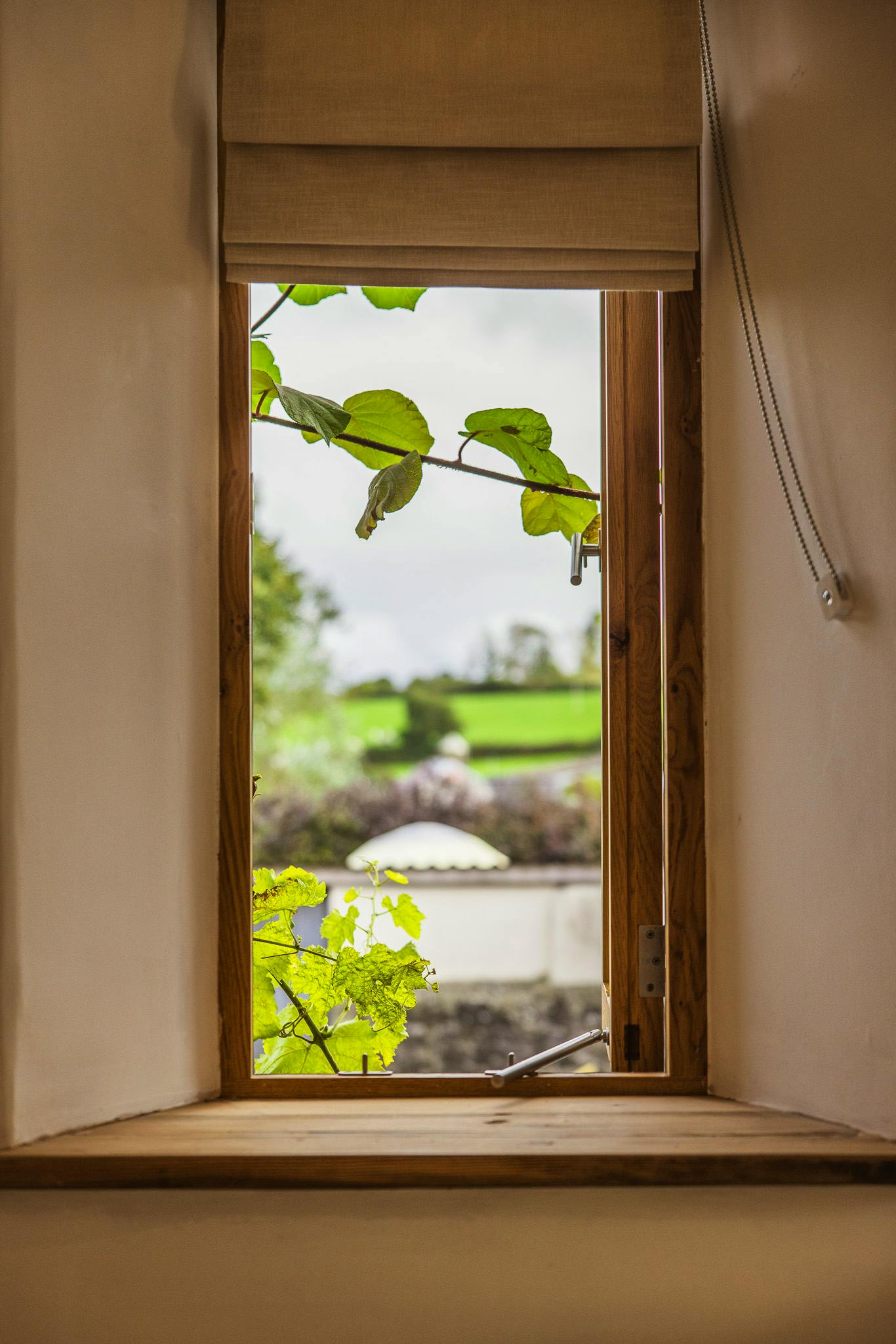 stunning views to the distant hills