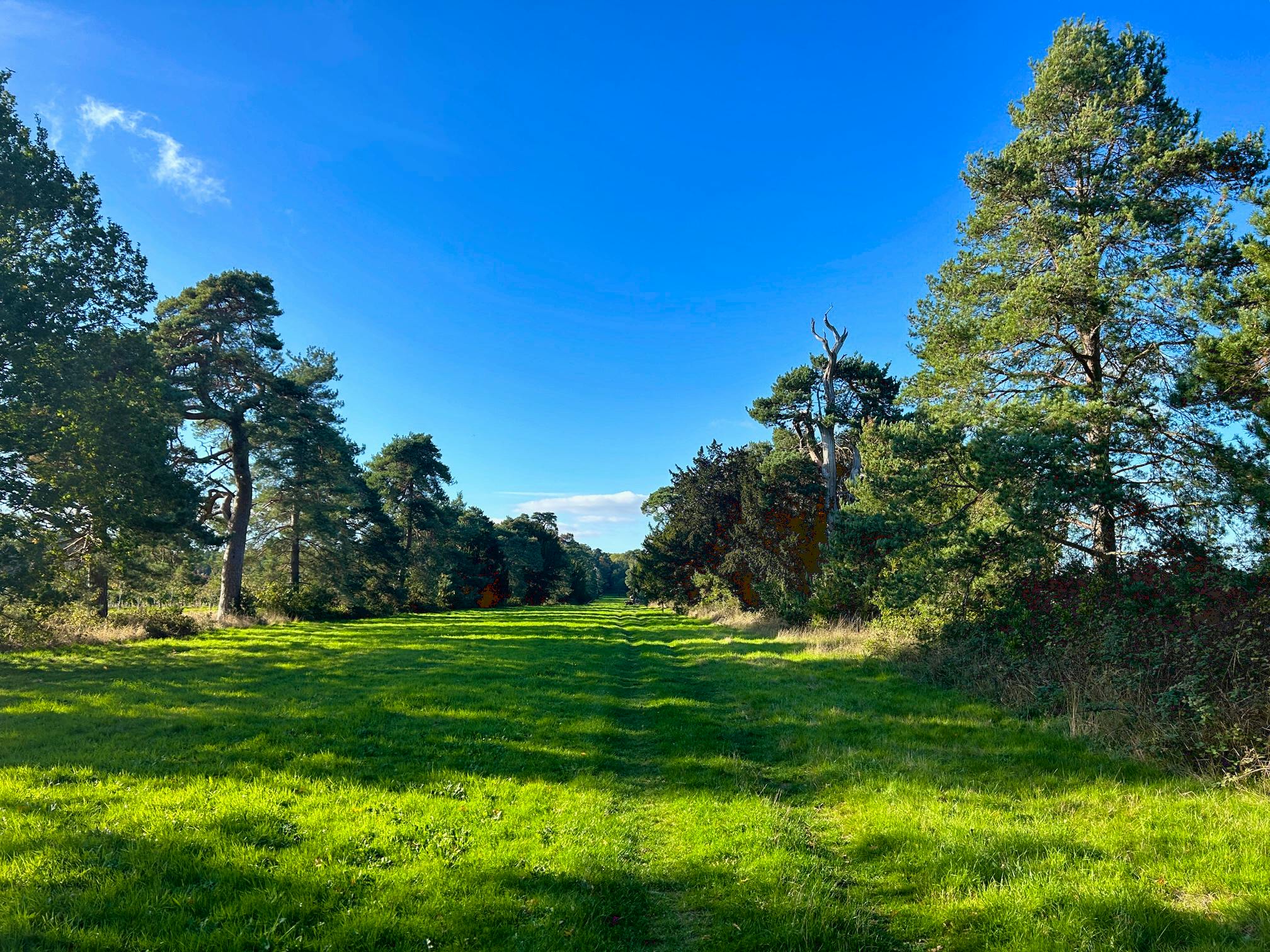 The very beautiful Monnington Walk