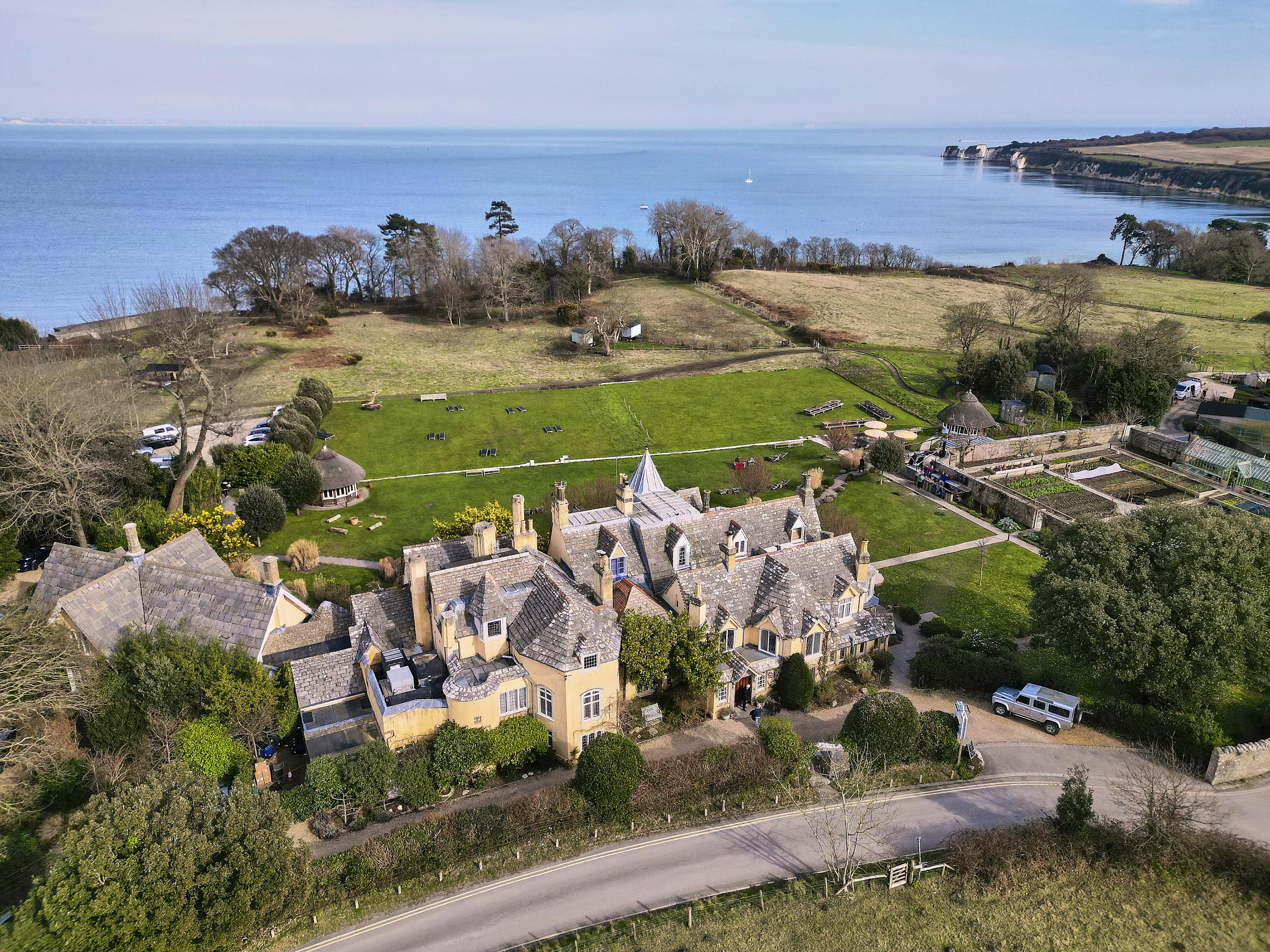 THE PIG - on the beach