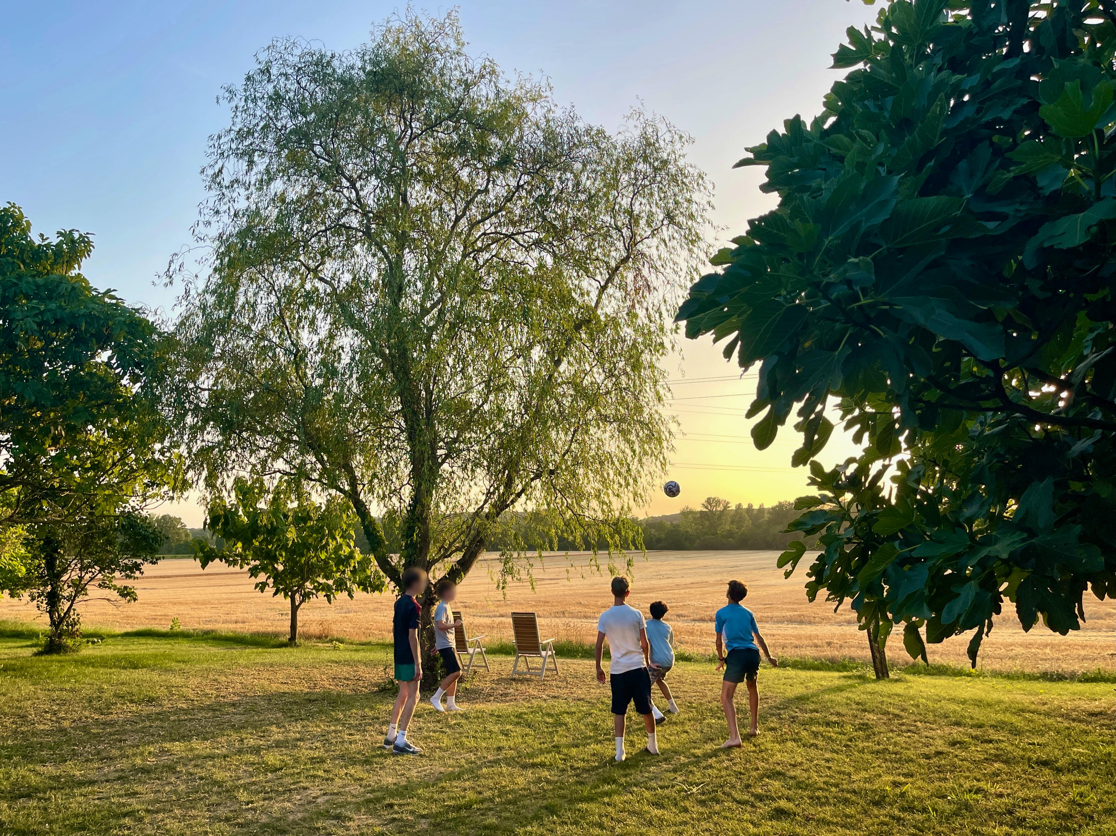Between the Terrace & Farmers field