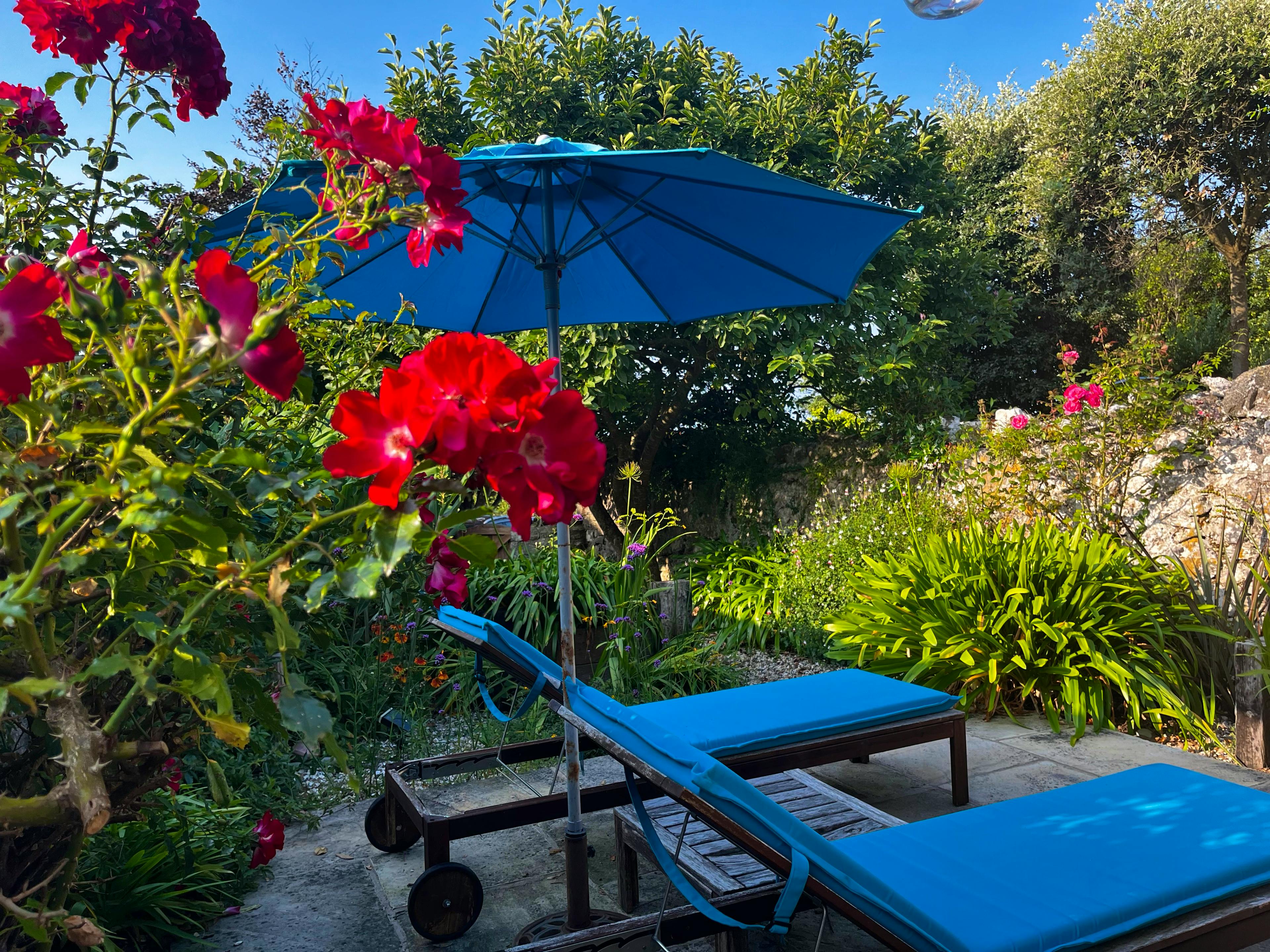 Relax in the private walled garden.