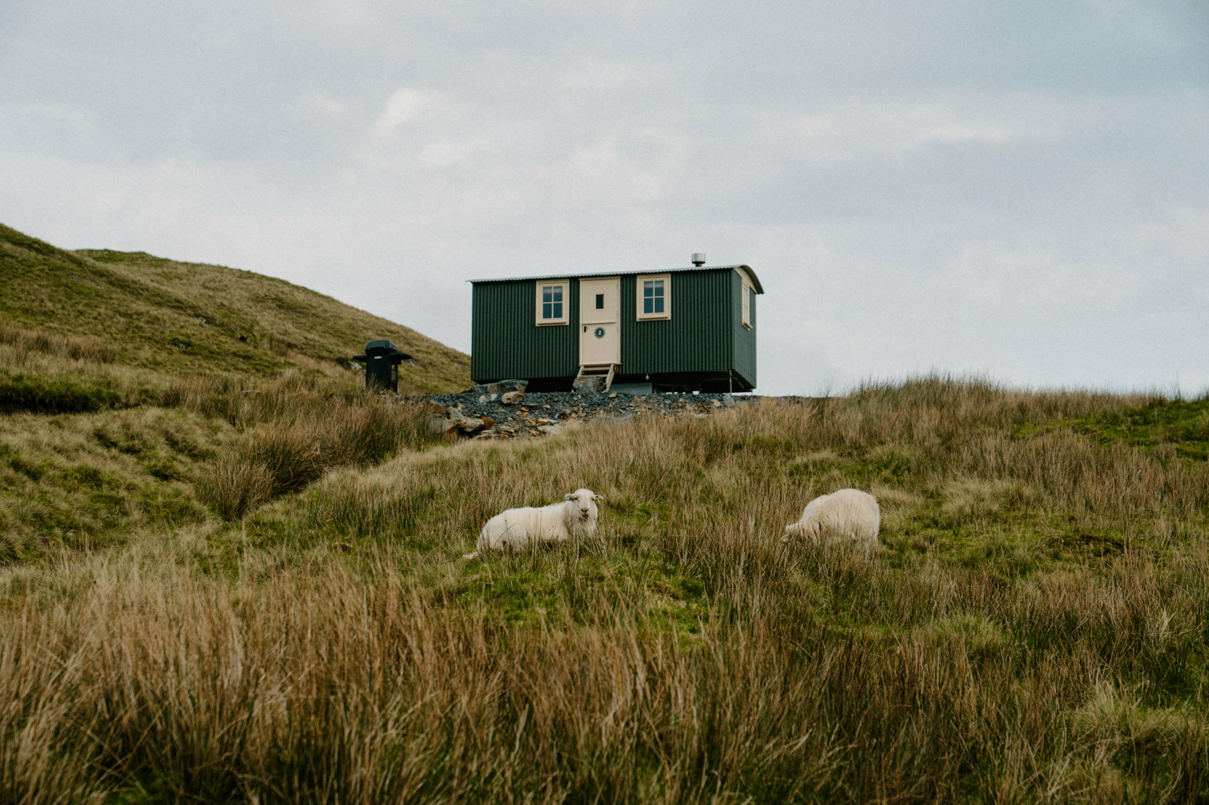 Barlwyd Shepherds Huts