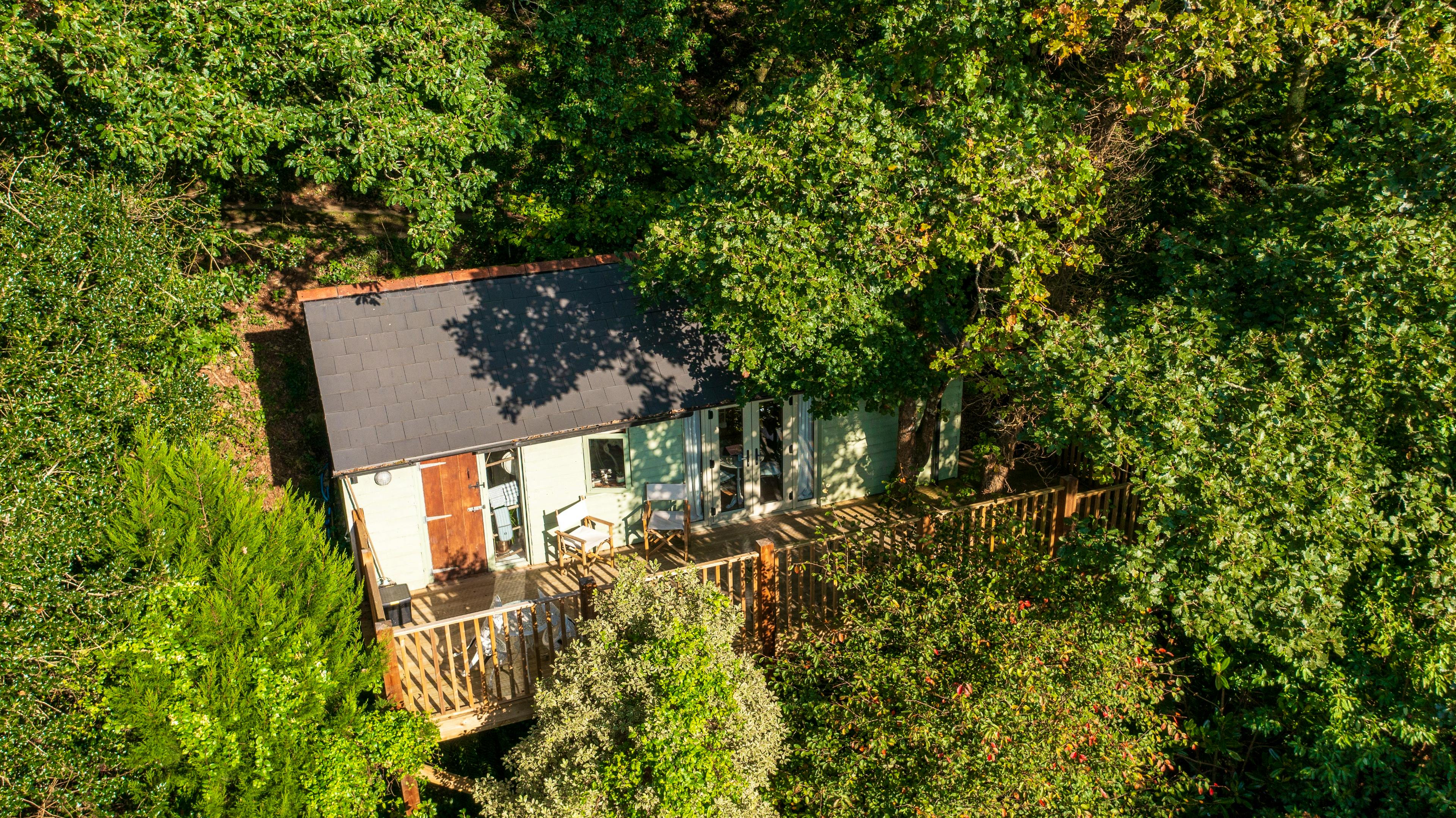 Wrinklers Wood Luxury Treetop Cabin