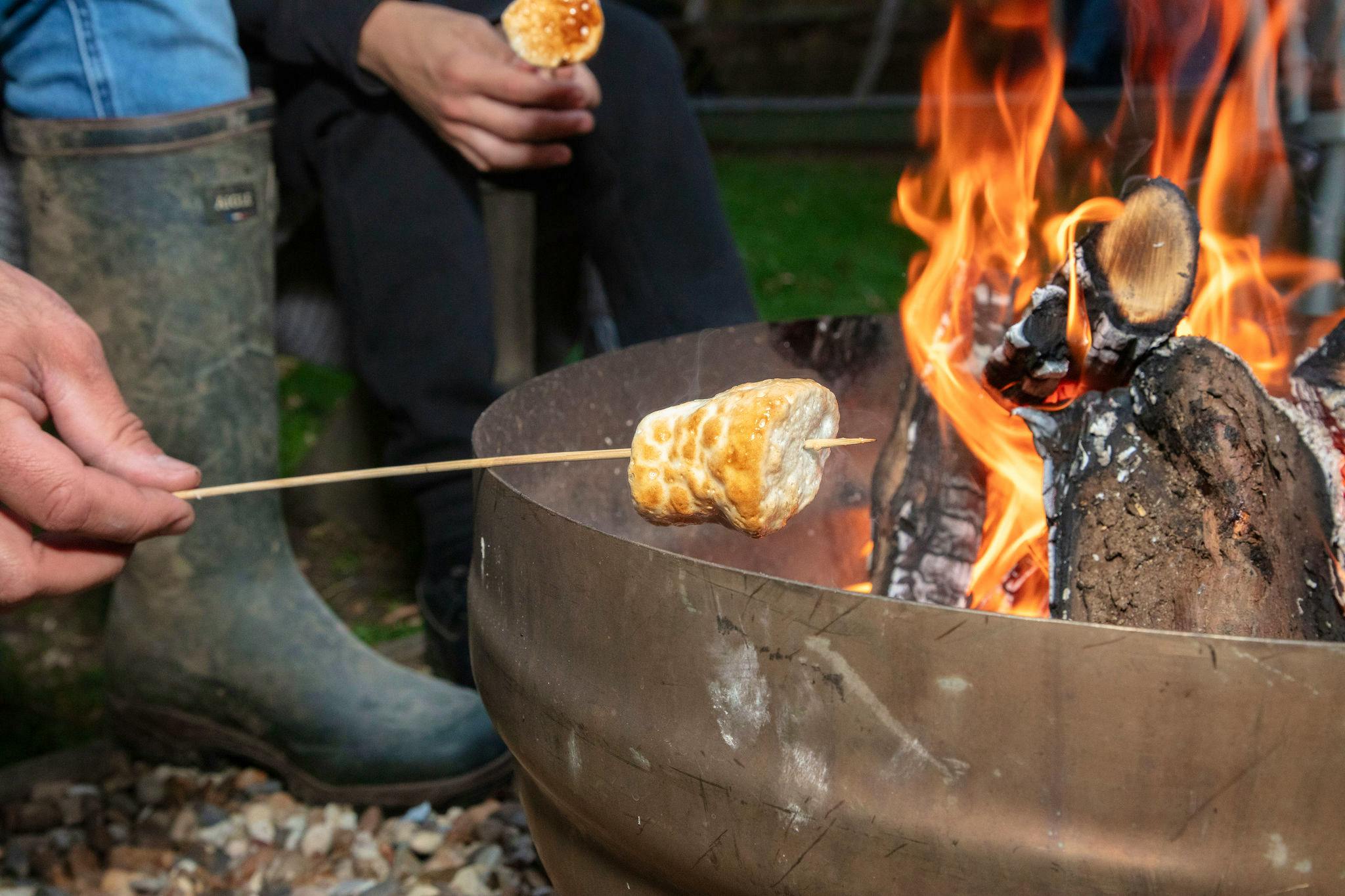 Lodges with Fire Pit