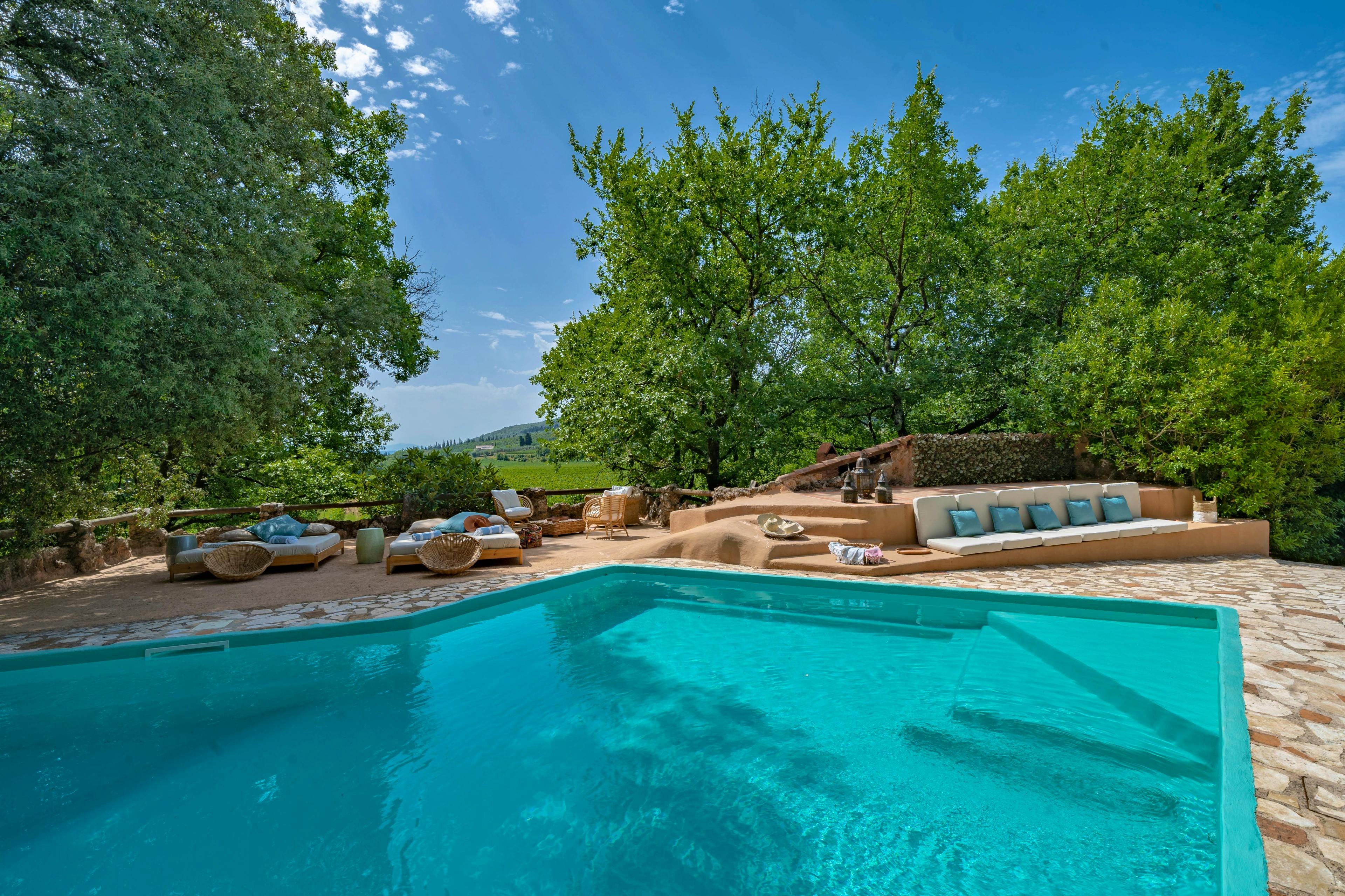 Baldassarre - Image 2