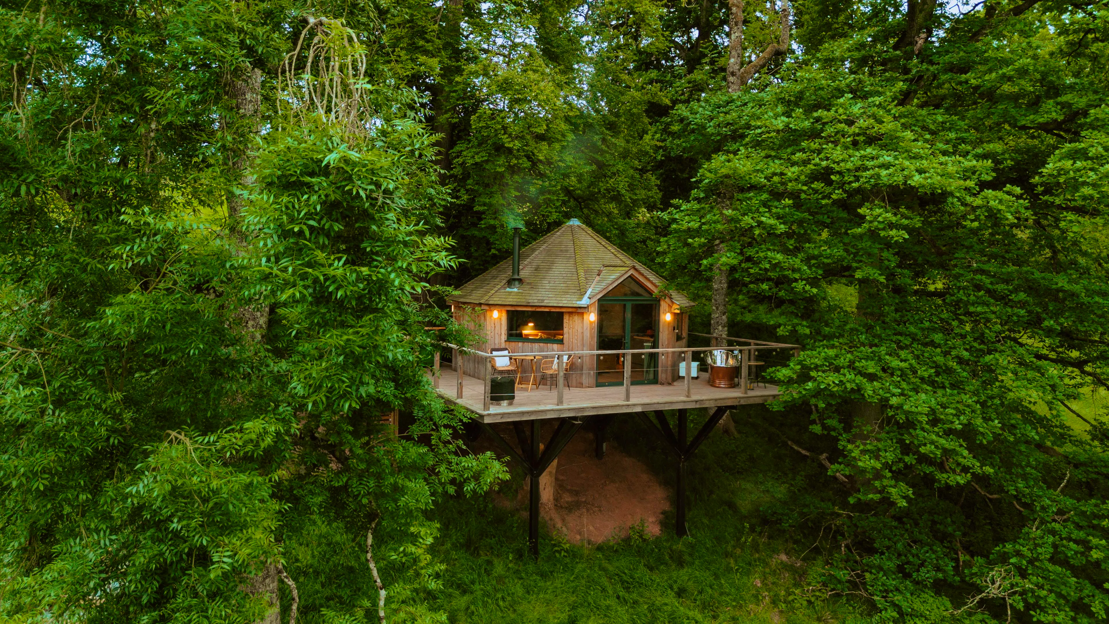 Best Dog-Friendly Treehouses - Coolstays