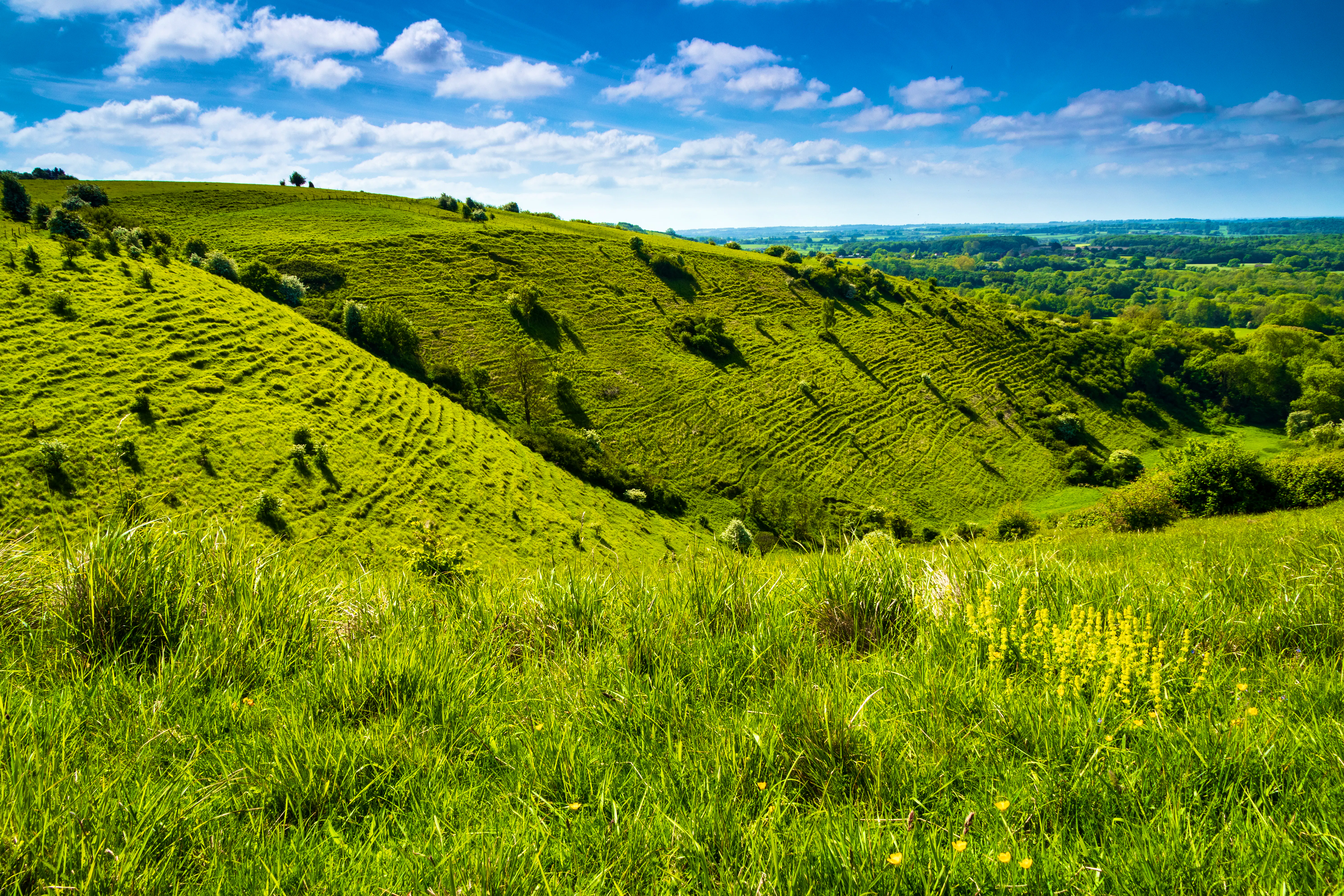 15 Best Things To Do in Kent: Beaches, Castles & Family Days Out ...