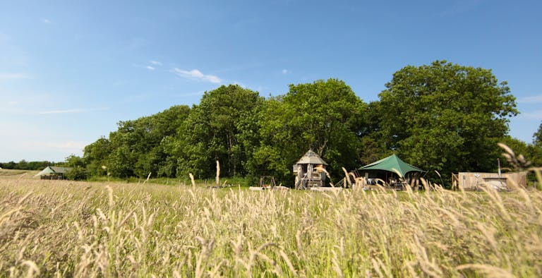 The Dandelion Hideaway - Bluebells and Bluebells Nest