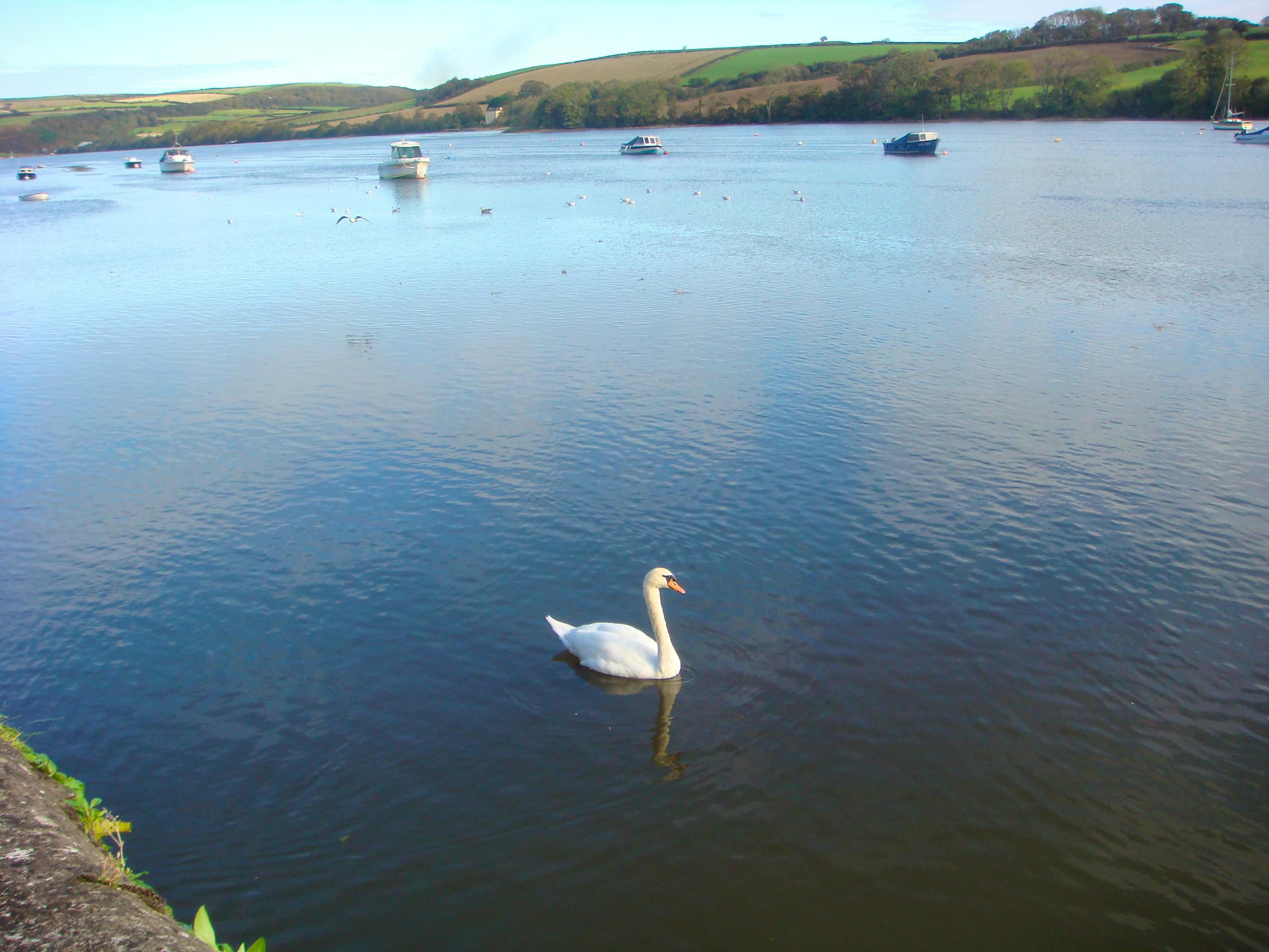 The view from the back garden with the tide in