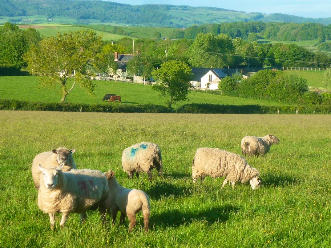 10 Coolest Farm Stays in the UK