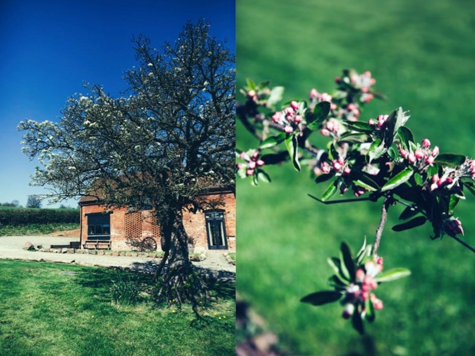 Redford Farm A Fabulous Barn For Twelve In Shropshire