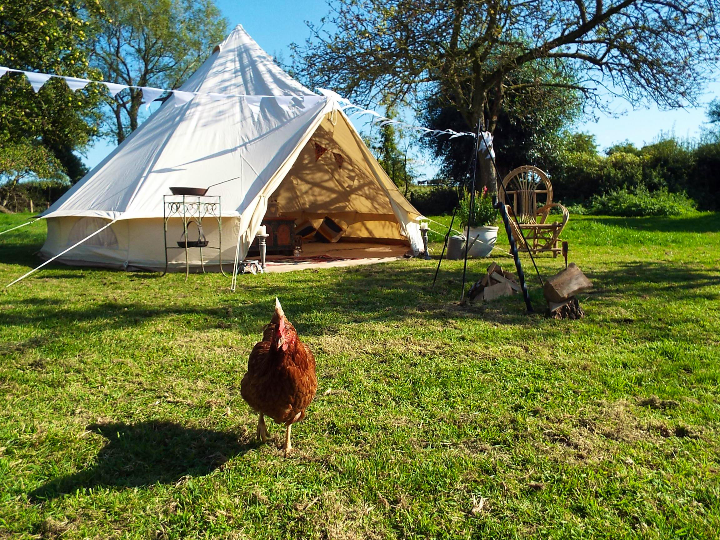 New CoolStays This Week - 16th April 2017