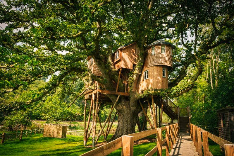 12 of the Best Treehouses in England
