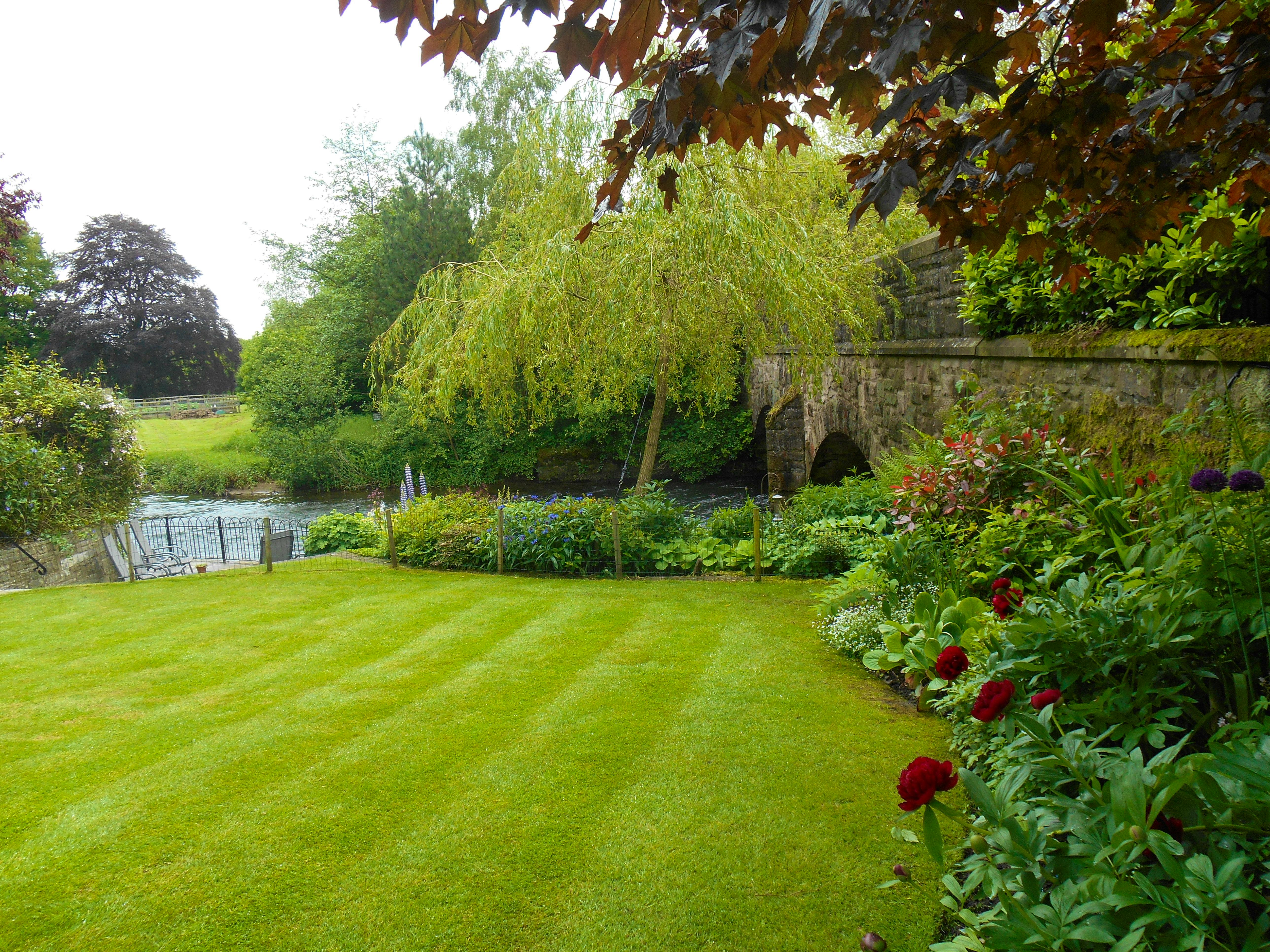 Beautiful garden area 
