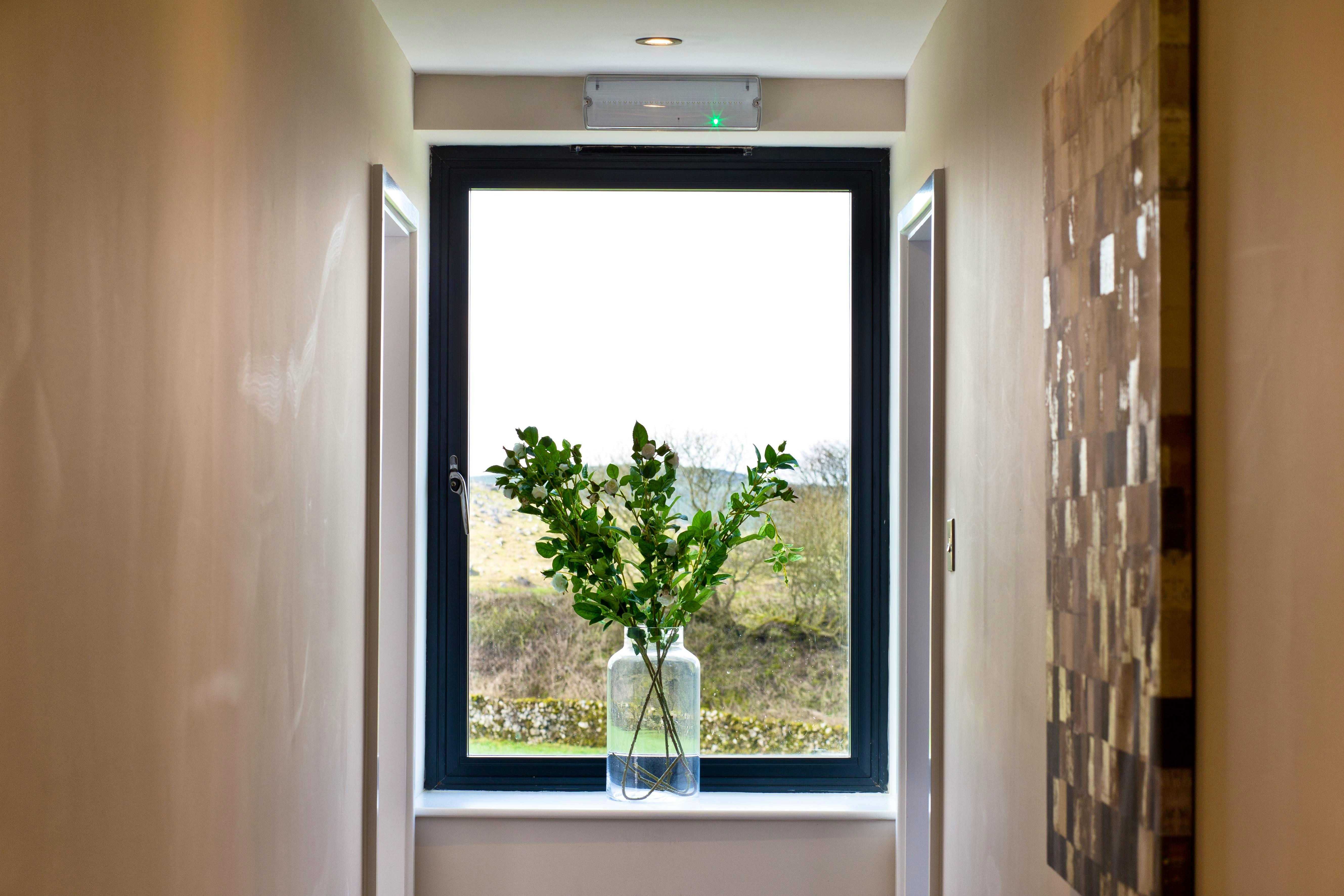 Pretty flowers in the window 